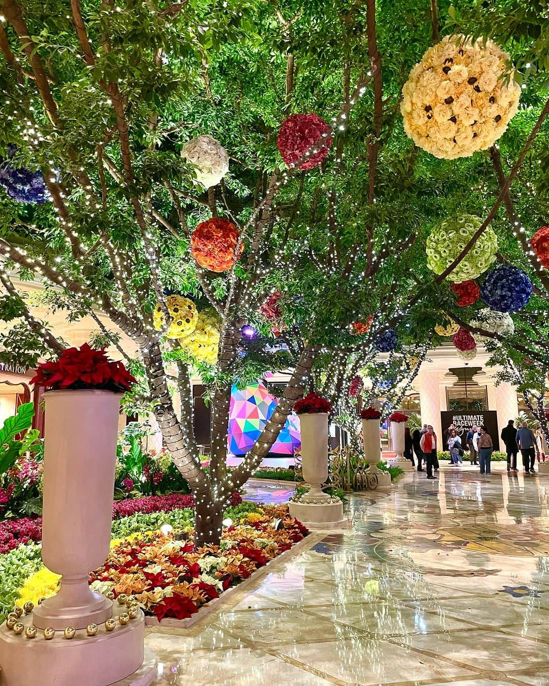 村主章枝さんのインスタグラム写真 - (村主章枝Instagram)「Wynn hotel is always pretty  #wynnlasvegas」11月25日 20時41分 - fumie.suguri