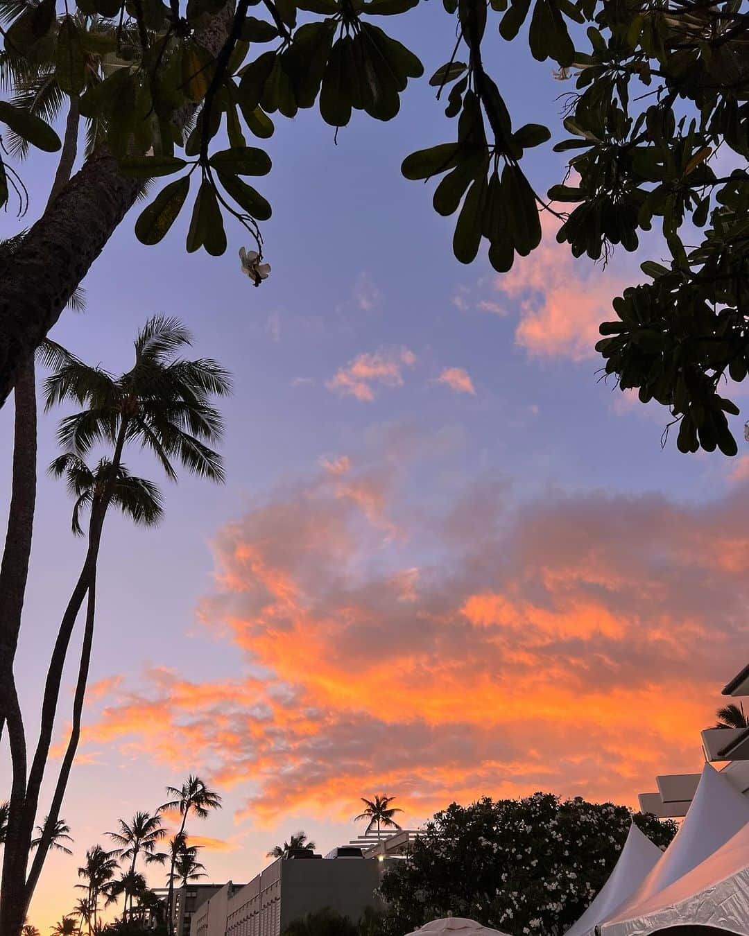 平アスカさんのインスタグラム写真 - (平アスカInstagram)「この旅でいっちばん綺麗な夕陽がみれたのでおすそわけ！ Hawaiiにいると朝陽がのぼるのと夕陽が沈む瞬間がたのしみで旦那さんが見つけた秘密🤫のスポット（ホテルの非常階段）から朝陽を見るのが楽しみ。 この夕陽はビーチのとこからみれたよ！  夕陽が沈む姿は分刻み、いや、秒刻みで陽の位置も景色も変わってくるから大事にしたくなるよね☺️ でも実際はそれ以外の時間も同じで時間とともに陽も絶え間なく動いているはずなんだよね。こうやって陽が落ちる瞬間だけではなく、それ以外の時間も 誰と、どんなひとと、どんな時間をすごしたらじぶんは幸福な気持ちになれるんだろう。この夕陽に時間の大切さを改めて教えてもらった気がする！！ どんどん帰る時間が近づいてくるけど 愛する旦那さんとの時間をアホみたいに楽しんでかえりますよっ😘 #hawaii #hawaiitrip #sunset #kahalahotel #kahala #kahalabeach #kahalabeachpark #beautifulsunset #ハワイ #カハラリゾート #カハラ #夕陽」11月25日 21時04分 - asucataira