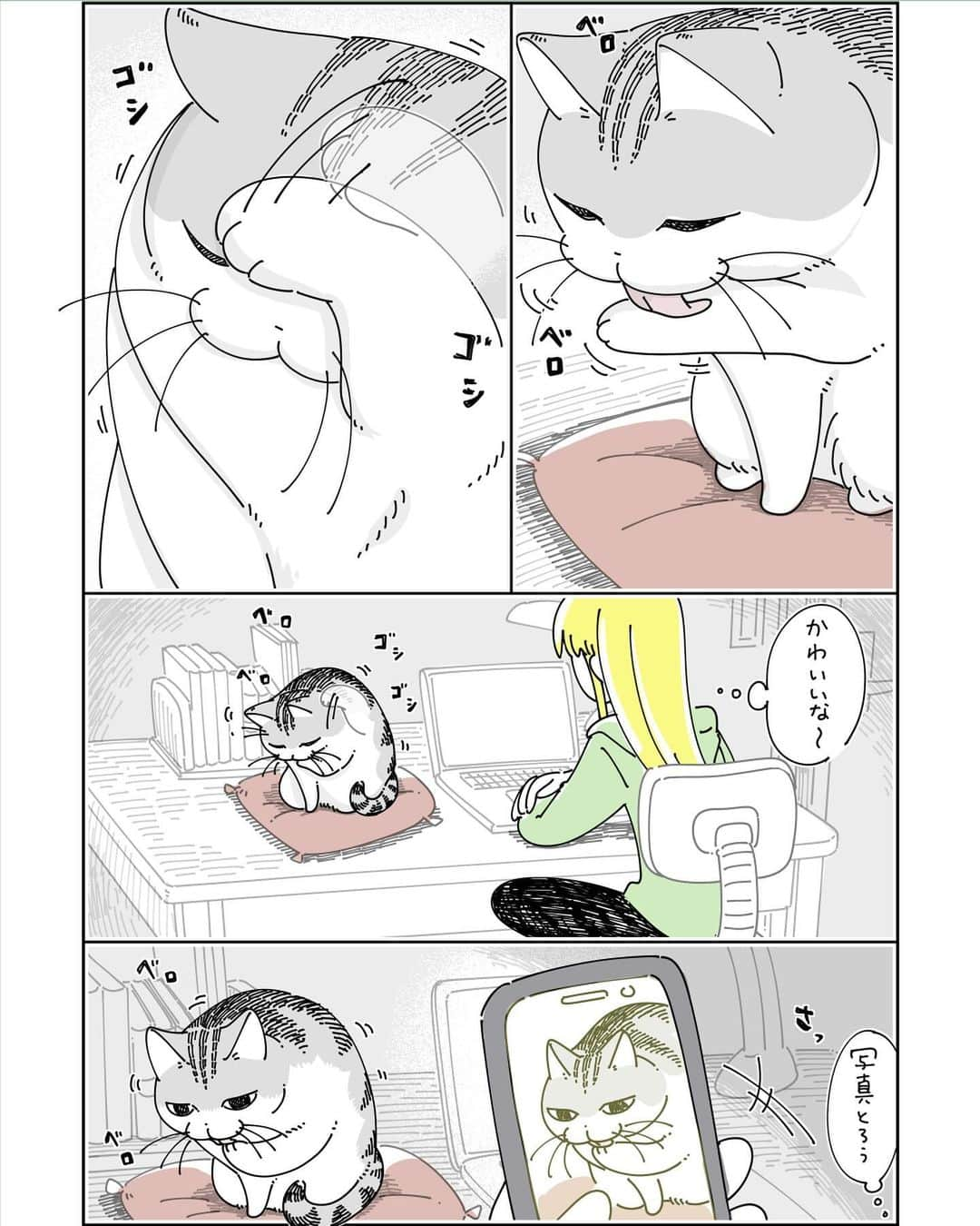 キュルZのインスタグラム：「ネコの画像  #キュルガ #夜は猫といっしょ #猫 #cat #猫漫画 #猫のいる暮らし」