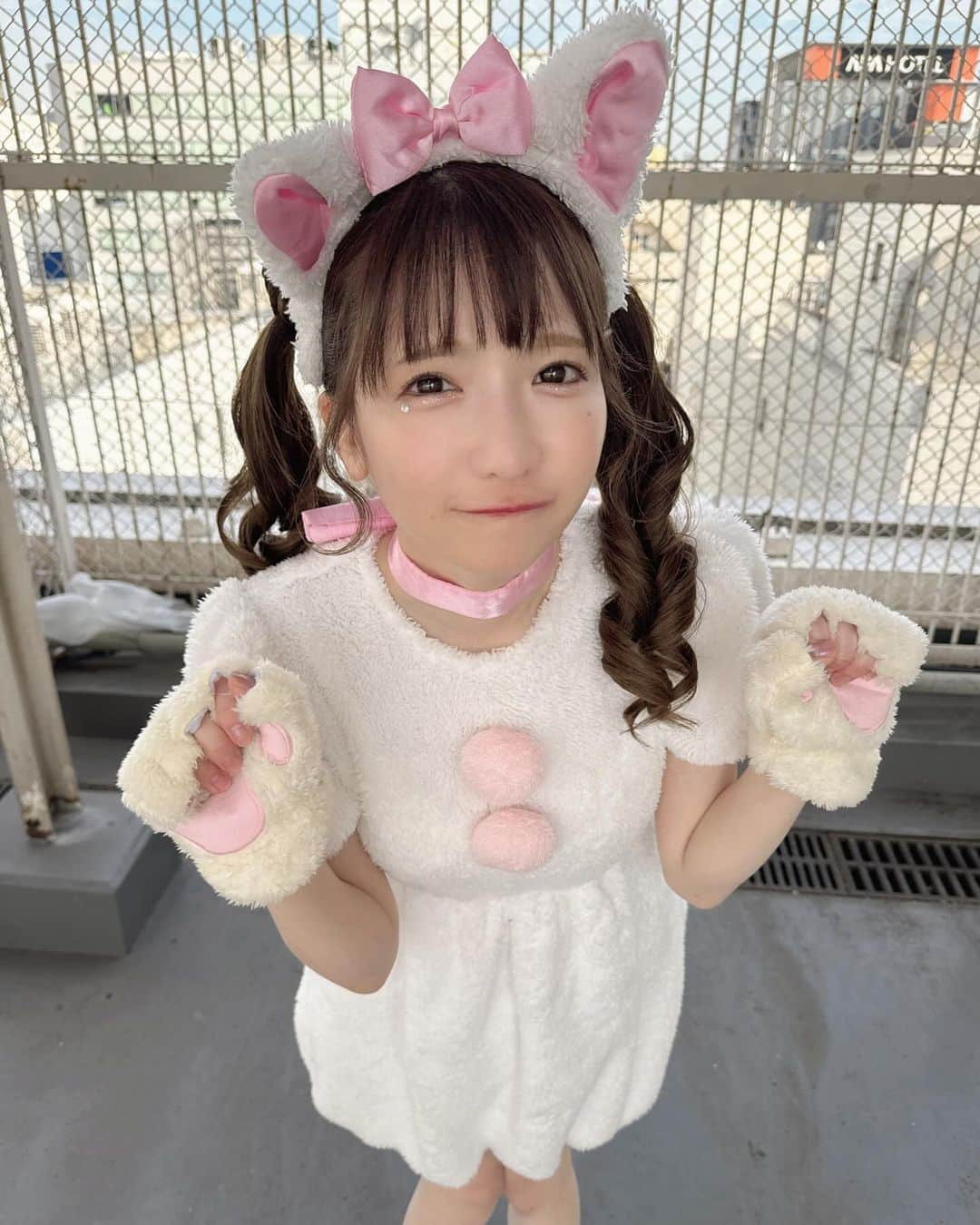 もえのあずきさんのインスタグラム写真 - (もえのあずきInstagram)「しろねこちゃん🎀🍼🐰 #ねこすたぐらむ #にゃんにゃんにゃん#もえあず#もえあずヘア#大食いアイドル」11月25日 21時29分 - moeazukitty