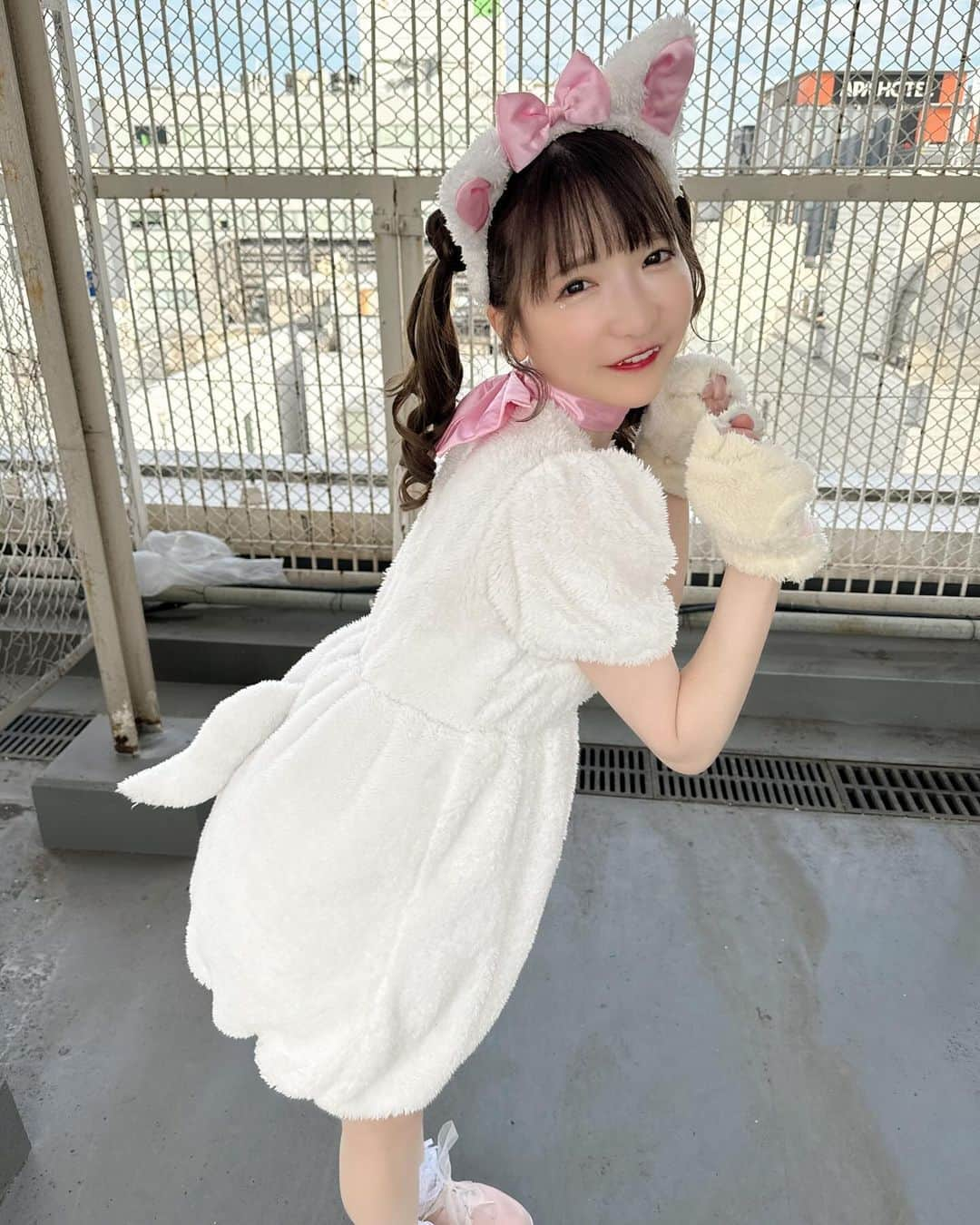 もえのあずきさんのインスタグラム写真 - (もえのあずきInstagram)「しろねこちゃん🎀🍼🐰 #ねこすたぐらむ #にゃんにゃんにゃん#もえあず#もえあずヘア#大食いアイドル」11月25日 21時29分 - moeazukitty