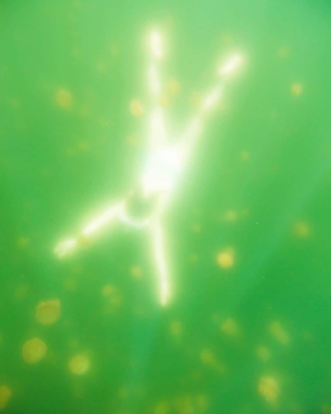 ノーマのインスタグラム：「Jellyfish Lake at Palao 2016 🤍💚🧚🏻 Photo by @marco149   #palao #jellyfishlake」