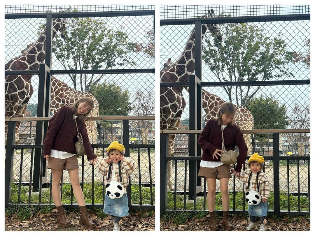 AYAさんのインスタグラム写真 - (AYAInstagram)「_ 詩珠と動物園🦒🐘🦓  京都の動物園はちょうど1年ぶりで めちゃくちゃ久しぶりやった〜🤍 入ってすぐ大好きな🦒に会えて大喜び！！  動物を見つけるたびに「〇〇いたよー！」って 言いながら嬉しそうやったり、 ちょっと険しい顔してたり（笑）  ゴリラ🦍はびびってたくせに うたちゃん怖くないで？ って顔引きつりながら言ってたけど 興味はあるからずっと見てた（笑）  触れ合いコーナーはさすがの詩珠 ヤギ使いなんかな？友だちなんかな？ っていう慣れ具合😂😂  触り方ちゃんと優しいしほんまに笑けるし 帰る時もばいばーいって言ってました😂  高校の後輩のめいちゃんファミリーが たまたまいてDMくれて、一緒に回れて 久しぶりやったし楽しかった🥹  ありがとうね🤍 またゆっくりね🤍  🚲で割とすぐ行けるし、暖かくなったら 年パス買おう〜  #詩珠diary   #京都市動物園#2歳女の子#動物大好きっ子#動物好き女子#京都おでかけスポット#子連れお出かけ#動物園デート#関西ママ#京都ママ#2歳#2歳児#女の子ママ」11月25日 21時30分 - a.y.hana_12o6