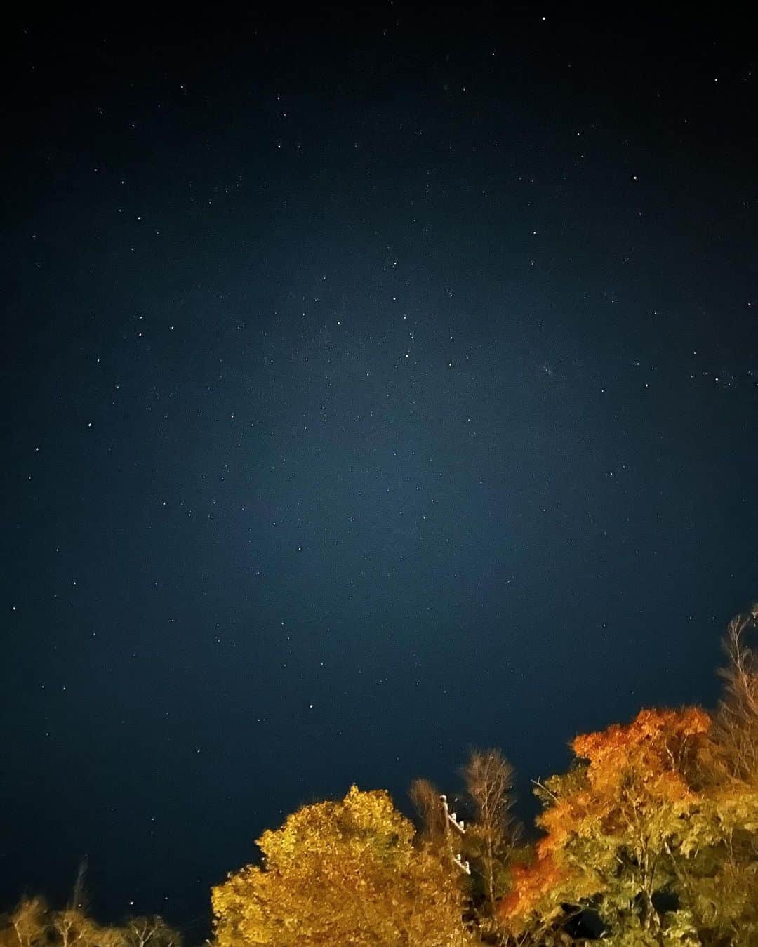 かとうれいこのインスタグラム：「寝そべってずっと見ていたいくらい  星がとても綺麗だった夜でした✨  #iPhone #さすが  #星 #星空  #夜空  #11月  #箱根」