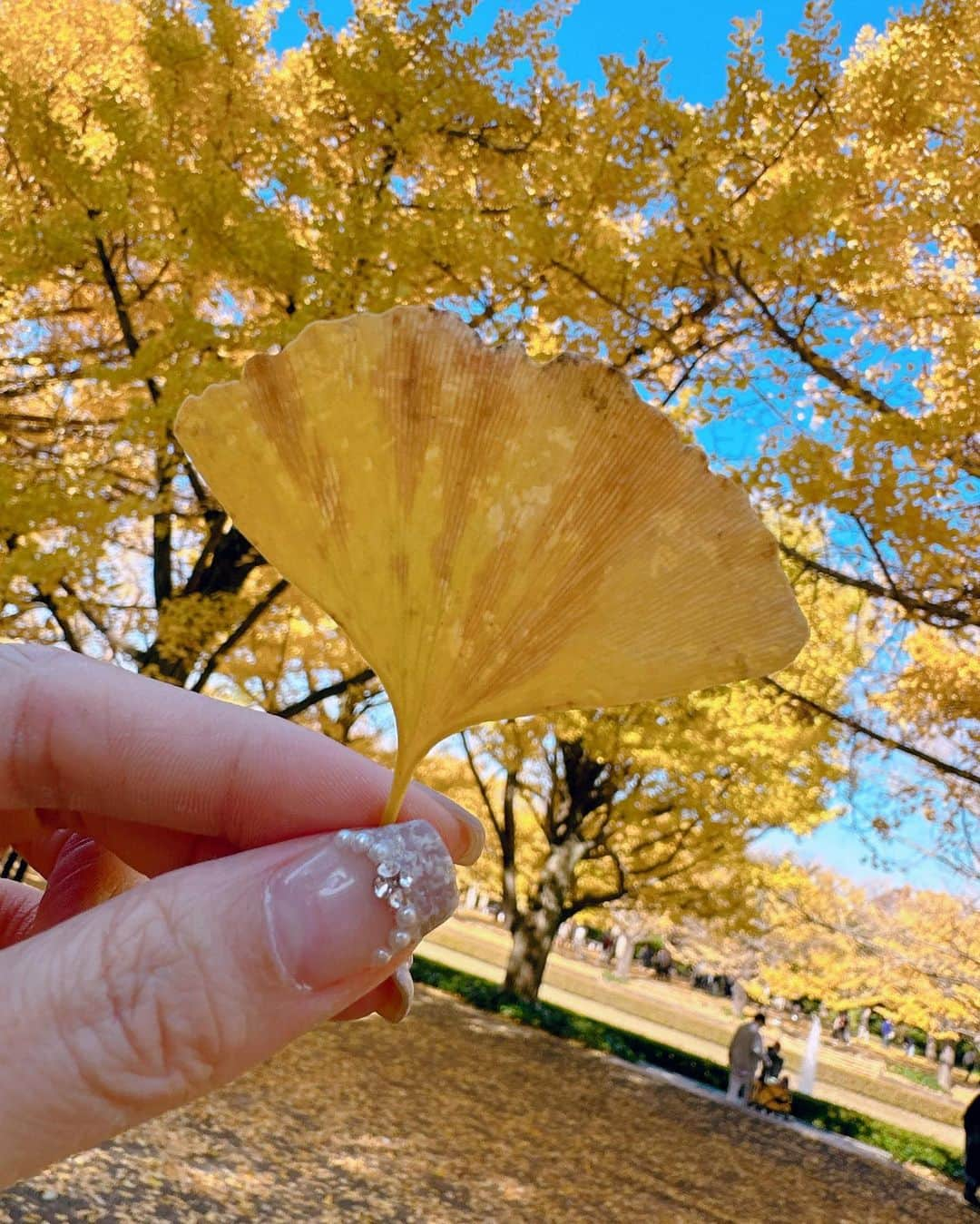 やっこさんのインスタグラム写真 - (やっこInstagram)「🍂🍁🍂🍁 ⁡ ⁡ ⁡ ⁡ 秋のイチョウ並木〜❕ めっちゃ綺麗だった🥹♡ ⁡ お洋服は @shabondama_info のワンピースです🤎 ⁡ ⁡ ⁡ 動画も後ほどあげるので 楽しみにしててね〜っっ🍁 ⁡ ⁡ ⁡ ⁡ ⁡ ⁡ #昭和記念公園 #shabondama #紅葉 #イチョウ並木 #イチョウ #銀杏並木 #公園 #秋コーデ #ワンピース #ブラウンコーデ #お散歩 #🍁 #🍂」11月25日 21時32分 - yakko928