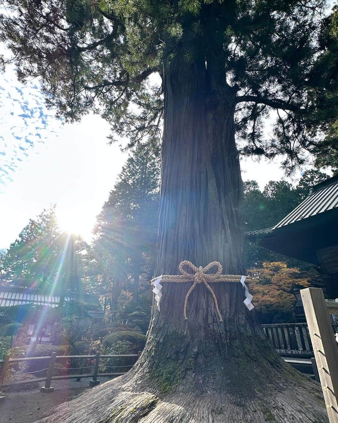 早坂香須子さんのインスタグラム写真 - (早坂香須子Instagram)「富士吉田市で迎えた朝☀️軍地彩弓ちゃんのお誘いで、北口本宮浅間神社に集合。 コロナ禍から手水舎の水が止められ、お清めが出来ない神社が増えた中で、ここでは渾渾と湧き出る水に感動して、カメラを向けたらこの光のシャワー✨✨✨  富士山に感謝して、富士山麓の森でクロモジの剪定、収穫へ。  @noi_aroma 大河くん @herbstand ゆうたくん 森で繋がれて、本当に嬉しい。 まだまだ話しが聞きたかった。  彼らは森と植物と私たちを繋げてくれます。  @noi_aroma のアロマスプレーは旅の間、いつでもどこでも瞬時に浄化してくれて、マイスペースにしてくれた。  @herbstand のブレンド茶は、水出しで美味しいから水筒にいつも忍ばせている。味のふくらみは、クラフトジンやクラフトコーラとかの域。  帰宅してからも、富士吉田の大自然と繋がっている感じがします。 ありがとう♡♡♡  ＃富士吉田市 #北口本宮富士浅間神社  #富士山 #ハーブツアー #noi#herbstand」11月25日 21時46分 - kazukovalentine