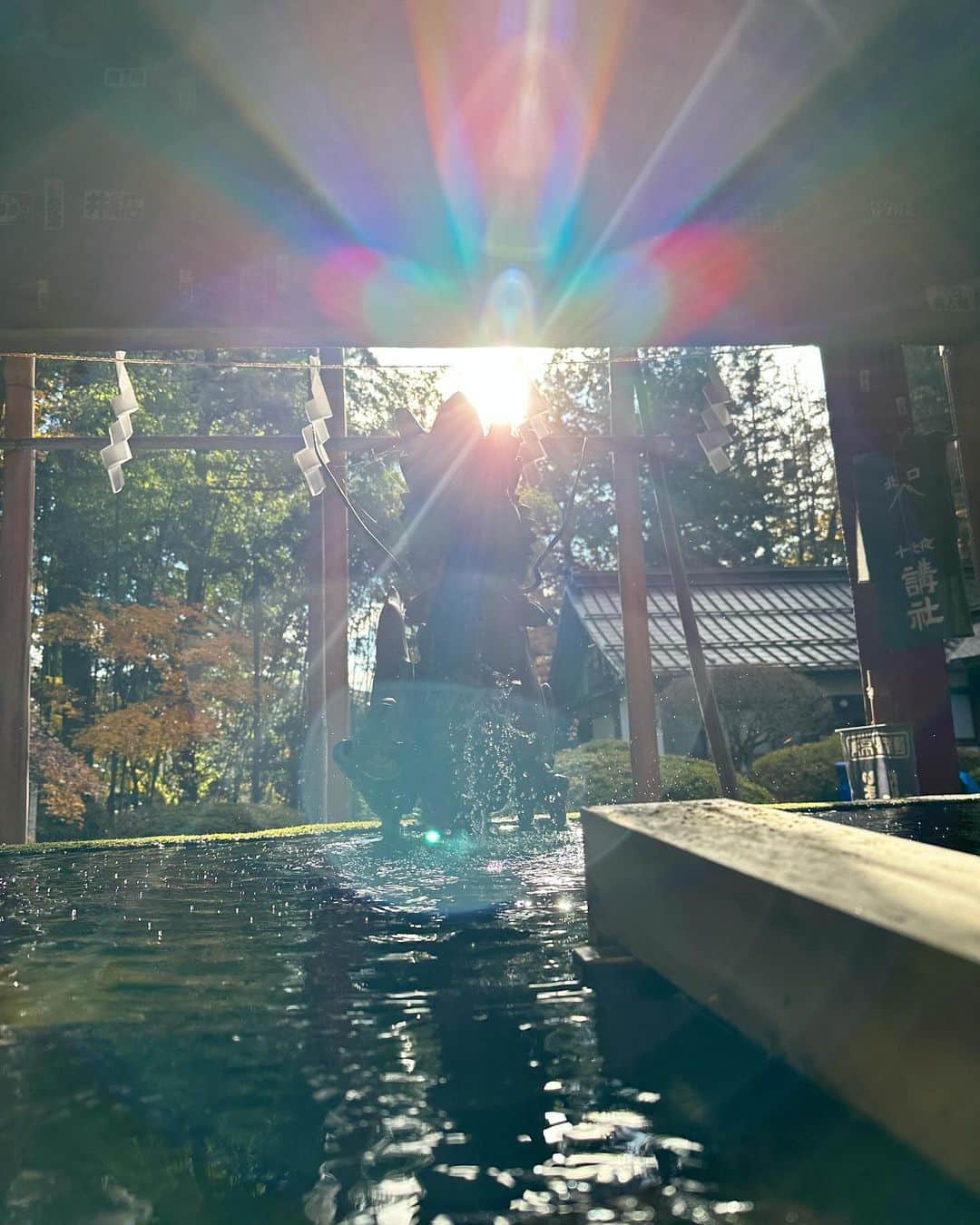早坂香須子のインスタグラム：「富士吉田市で迎えた朝☀️軍地彩弓ちゃんのお誘いで、北口本宮浅間神社に集合。 コロナ禍から手水舎の水が止められ、お清めが出来ない神社が増えた中で、ここでは渾渾と湧き出る水に感動して、カメラを向けたらこの光のシャワー✨✨✨  富士山に感謝して、富士山麓の森でクロモジの剪定、収穫へ。  @noi_aroma 大河くん @herbstand ゆうたくん 森で繋がれて、本当に嬉しい。 まだまだ話しが聞きたかった。  彼らは森と植物と私たちを繋げてくれます。  @noi_aroma のアロマスプレーは旅の間、いつでもどこでも瞬時に浄化してくれて、マイスペースにしてくれた。  @herbstand のブレンド茶は、水出しで美味しいから水筒にいつも忍ばせている。味のふくらみは、クラフトジンやクラフトコーラとかの域。  帰宅してからも、富士吉田の大自然と繋がっている感じがします。 ありがとう♡♡♡  ＃富士吉田市 #北口本宮富士浅間神社  #富士山 #ハーブツアー #noi#herbstand」