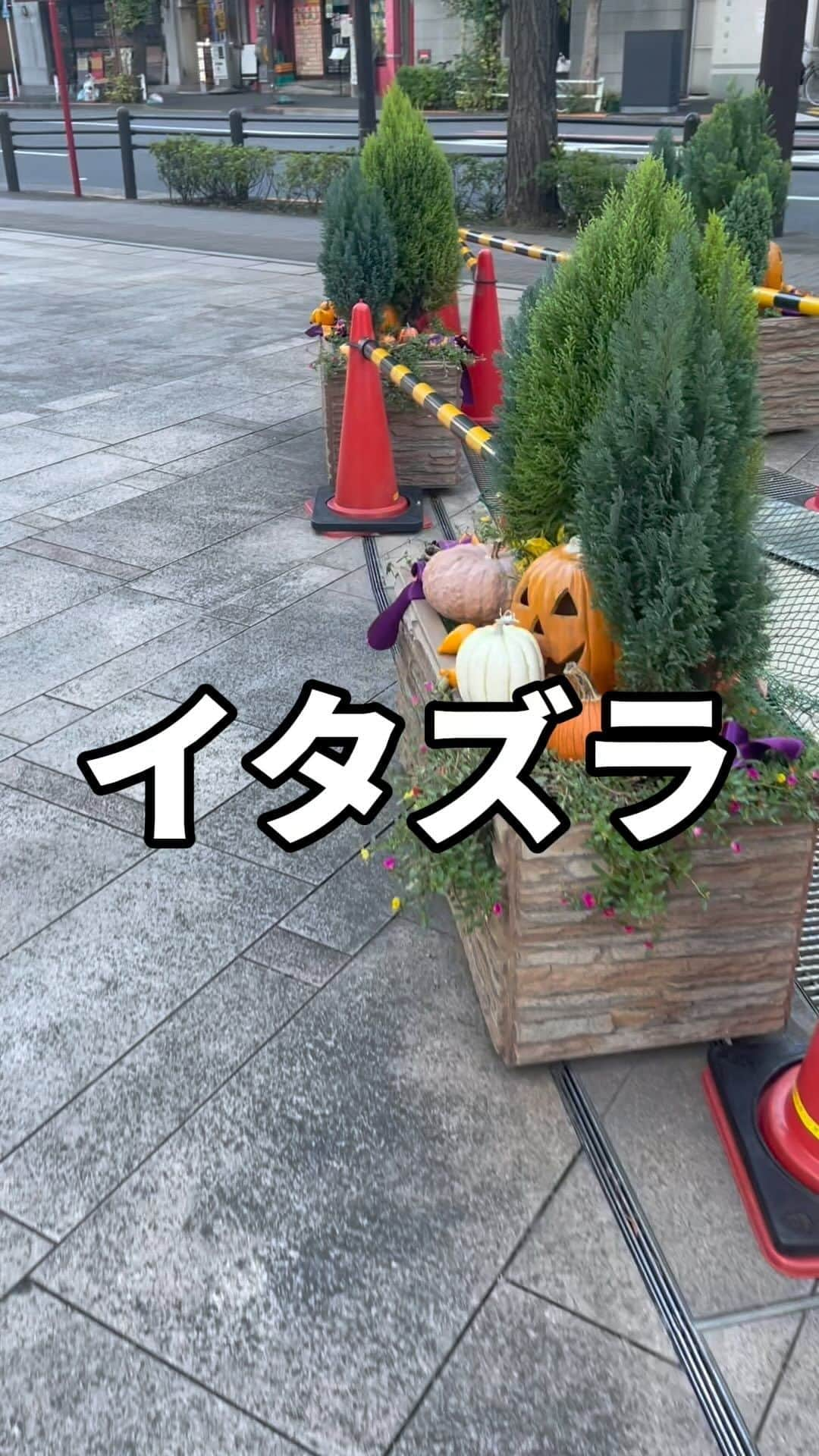 椎木ゆうたのインスタグラム：「〜イタズラ〜  ハロウィンに時期にやってくる女の子。 お菓子くれないと彼女になっちゃうぞ！ ちょっとイタズラの度合い重た過ぎない？  #世間知らズ #ハロウィン #トリックオアトリート  #お菓子 #彼女 #罰重たすぎる」