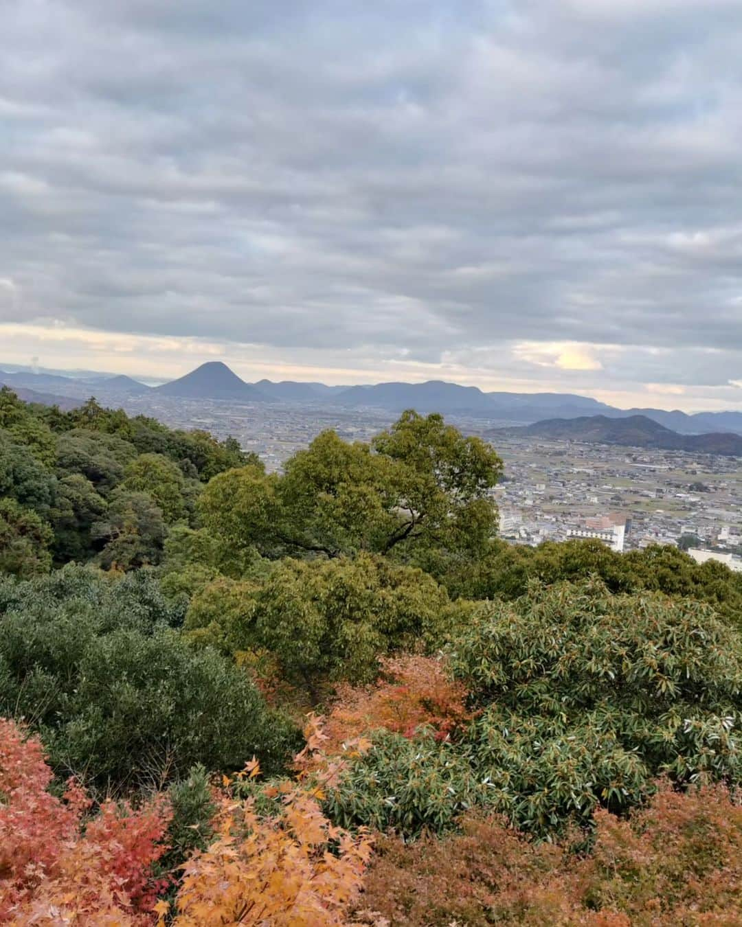 Ritsukoさんのインスタグラム写真 - (RitsukoInstagram)「明石海峡大橋を渡り、香川へ来ております。  こんぴら参りしてきました！ 1368段登って明日 (いや明後日以降) 筋肉痛の予感！  骨付鳥もいただき、明日のライブの準備はバッチリ！  明日は　#島フェス森編　 森の水辺ステージ11時30分〜  #mophingpeople は三好さんと二人でアコースティックセットです。 レアな曲もやりますよ🎶  暖かくしてお越しくださいませ〜！  #こんぴらさん #こんぴら参り #香川県丸亀市 #骨付鳥  #島フェス #mophingpeople #明石海峡大橋」11月25日 22時01分 - litsuko721