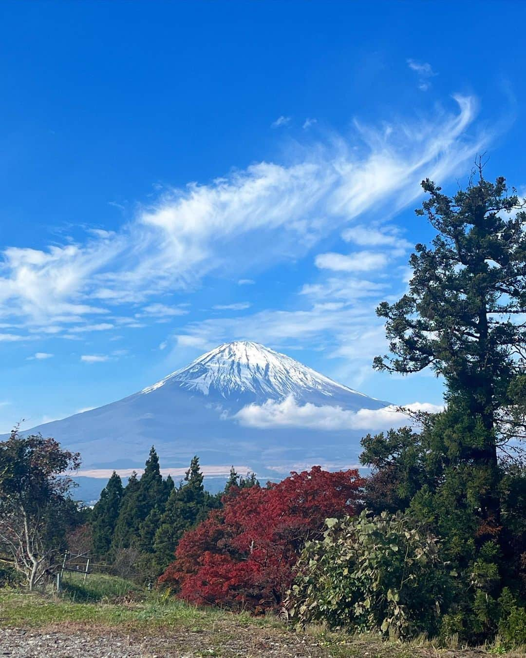 春菜めぐみさんのインスタグラム写真 - (春菜めぐみInstagram)「． 紅葉と富士山綺麗だった〜😍🗻🍁 ． ． 富士山っていつ見てもうっとりするけど この時期は特にすてきだった😮‍💨❤️ 山の空気が美味しくて癒されました...☺️💭 ． ． #holiday #autumn」11月25日 22時02分 - me_haruna.02