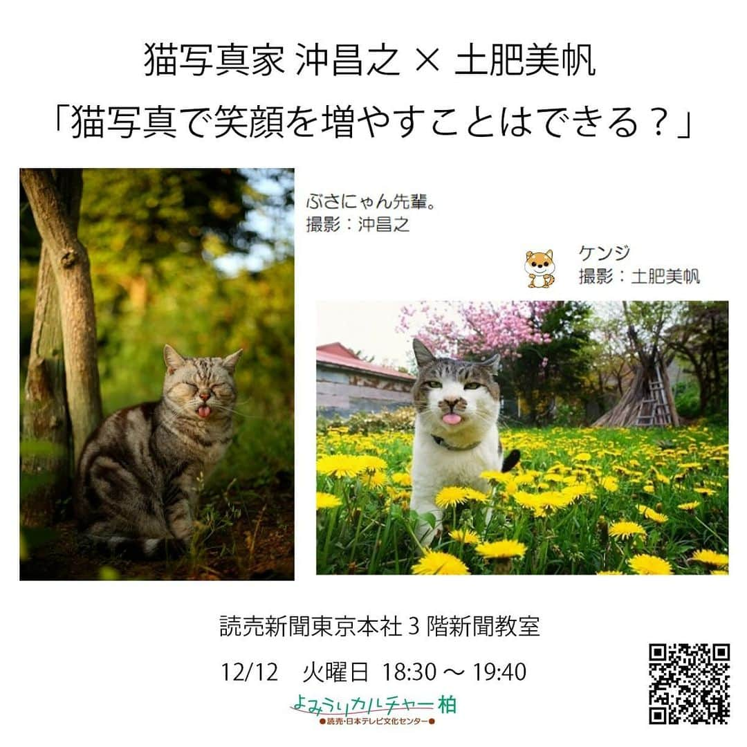 Masayukiさんのインスタグラム写真 - (MasayukiInstagram)「猫写真家 沖 昌之×土肥 美帆トークイベント 「猫写真で笑顔を増やすことはできる？」  12月12日　読売新聞東京本社3階新聞教室 @yomicul_official にて土肥 美帆さん @big_face_cat_kenji とトークイベントをすることになりました。 ちょこちょこギャラリーで話すことはあったけども今回初がっつりトーク。  MCは樋口かおるさん。 土肥さんの写真集のアートディレクターさんでぼくもお仕事の依頼をしてる感じのどちらにもつながってて話しやすいんじゃないかな。 普段ふわっとしてるんだけど頭キレるんだよなぁ。 むずかしい切り返ししてきそうでこわいｗ  そんなトークイベント。 ぜひあそびにいらしてくださいね！  ぶさにゃん、必死すぎるネコなど、SNSや写真集、カレンダーなどで大人気の猫写真家沖昌之さんと、big_face_cat_kenjiでお馴染みの小樽のボス猫ケンジと、その仲間たちを中心に猫の写真を撮り続けている写真家土肥美帆さんによるトークイベントを開催します。  　今回お話しいただくテーマは、「猫写真で笑顔を増やすことはできる？」です。お二人はいつもどんな気持ちで撮影しているのか？写真を見てくれる人へ伝えたいことや、逆に受け取るものなど、具体的なエピソードを交えてスクリーンで写真を鑑賞しながらお話をうかがいます。  　MCは猫の本などの編集、デザインなどを手掛ける樋口かおるさんです。お二人をよく知る猫の本のプロが、沖さん、土肥さんがいつも心に秘めていることを引き出していきます。ここで初めて聞けるお話も多く出てくる予定です。貴重な機会をどうぞお聞き逃しなく！  　また、当日会場ではカレンダーや写真集の販売、サイン会、ツーショット撮影会も予定しております。多くの方のご参加をお待ちしております。一緒に楽しみましょう。  ※本講座は同日時に、ZOOMウェビナーでの配信もいたします。アーカイブ視聴が2か月付いておりますので、ぜひ繰り返しお楽しみください。オンライン、会場開催の申し込みの方全員に開催日翌々日までに視聴URLをお送りいたします。  ※会場参加の方は18：00より整理券をお配りいたします。整理券の番号順に18：15より会場へご入場いただきます（お席は自由です）。  【日　時】2023年12月12日（火）18：30～19：40  【会　場】読売新聞東京本社3階新聞教室（東京 大手町）東京メトロ、都営地下鉄三田線　大手町駅 C3出口直結　JR東京駅 北の丸口より徒歩10分  【参加費】会場：3,520円　オンライン：2,420円　※アーカイブ視聴2か月付き（会場参加の方へも視聴URLをお送りします）  #cat #ねこ #猫」11月25日 22時06分 - okirakuoki