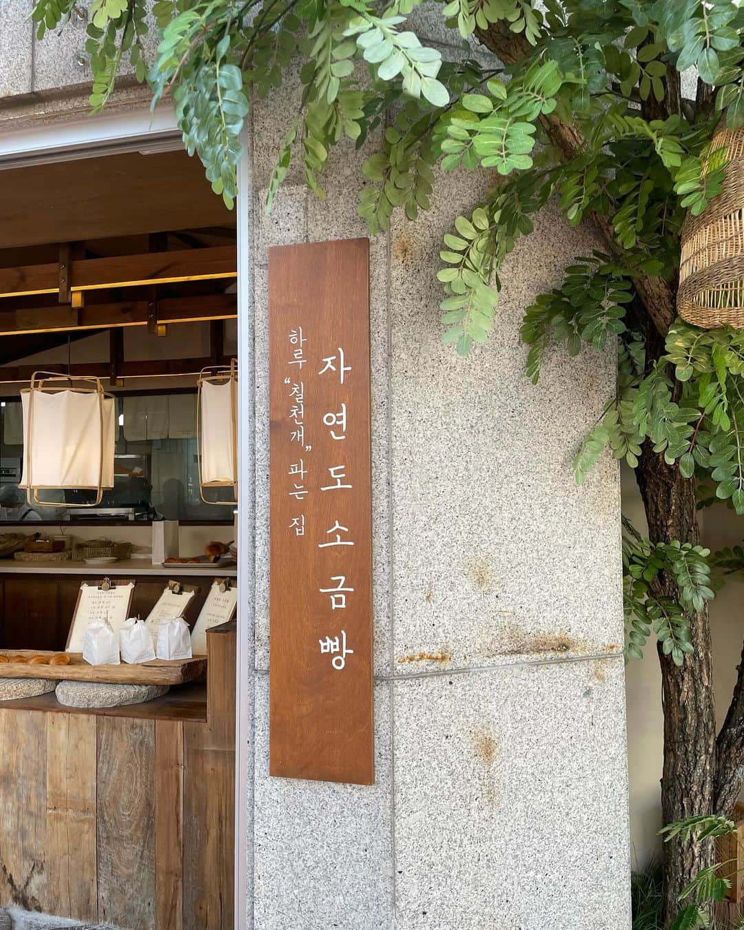 塩澤英真さんのインスタグラム写真 - (塩澤英真Instagram)「A peaceful morning ฅˆ•ﻌ•ˆฅ 여기 소금빵은 정말 맛있다🍞☁️  #대한민국 #한국 #강남구 #聖水 #聖水 #韓国 #korea #韓国塩パン #韓国パン #韓国カフェ #ソウルカフェ #cafe #coffee #자연도소금빵 #seoul #séoul #seoulkorea #seoultrip #seoultravel #travel #journey #explorepage #시오자와히데마사」11月25日 22時17分 - hidemasa_shiozawa