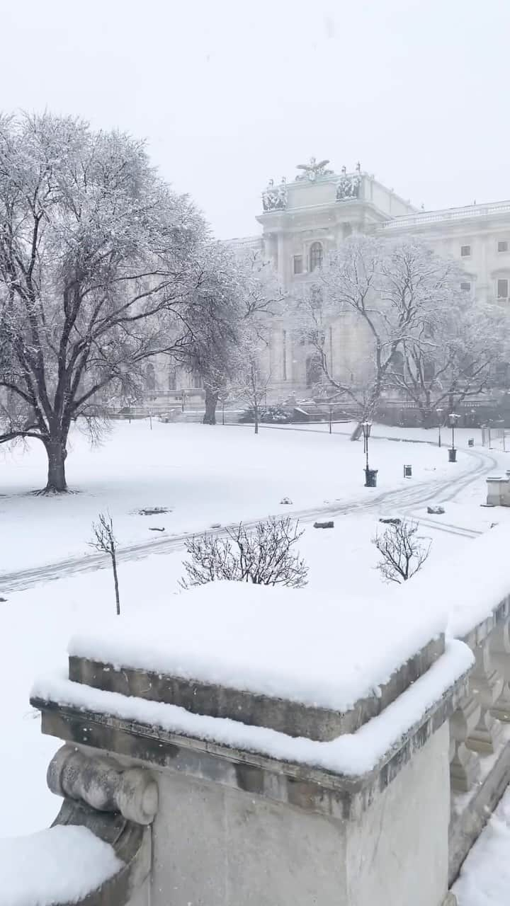 Wien | Viennaのインスタグラム：「Winter is coming! ❄️ Beautifully captured last year by @francesco_treu. ☃️ #ViennaNow  🎄 Votivekirche, Volksgarten, Burggarten, Stephansdom, University of Vienna, Graben and Ruprechtskirche.   #vienna #wien #vienna_austria #snow #snowy #winterwonderland #wintervibes #snowday #snowsnowsnow #wien #viennablogger #viennaaustria #viennacity #travelphotography #travelblogger #traveltheworld #traveltips #magical #visit #sightseeing #vacation #wintervacation」