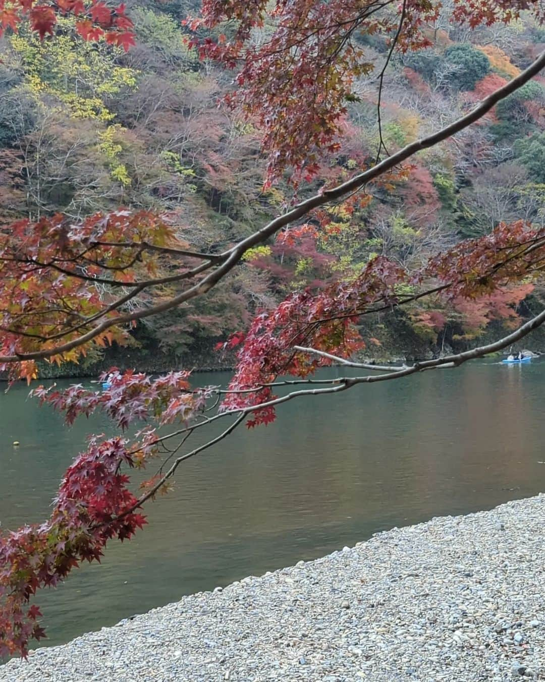 Hiromi Tomiiさんのインスタグラム写真 - (Hiromi TomiiInstagram)「#嵐山　 で、 #紅葉狩り #🍁 . . #yoga#筋トレ#ダイエット#ボディーメイク #筋トレ女子#ダイエット仲間募集　 #kyoto #京都　#kyotojapan」11月25日 22時52分 - hiromi.tomii