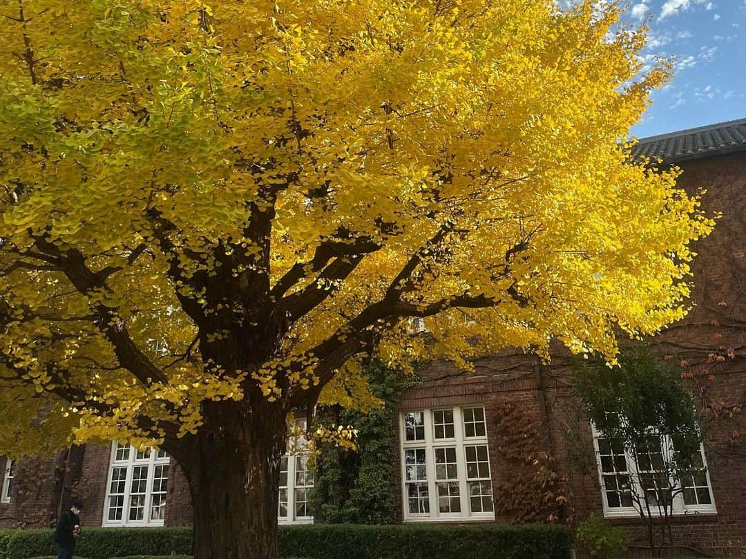 沖玲萌のインスタグラム：「🌿🍂🍁」