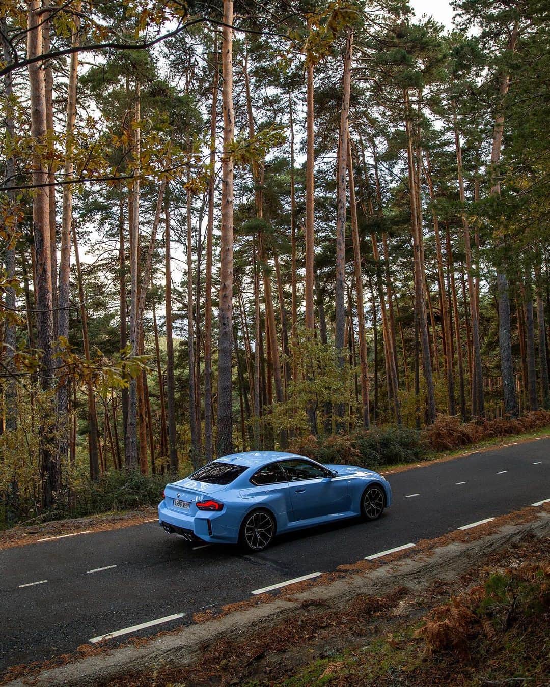 BMWさんのインスタグラム写真 - (BMWInstagram)「Gliding through these autumnal streets 🍂  📸: @bmw.bymycar.madrid @alvaroiglesiass #BMWRepost   The BMW M2. #THEM2 #BMWM #M2 #BMW #MPower __ BMW M2: Combined fuel consumption: 10.2–9.6 l/100 km. Combined CO2 emissions: 231–218 g/km. All data according to WLTP. Further info: www.bmw.com/disclaimer」11月25日 23時12分 - bmw