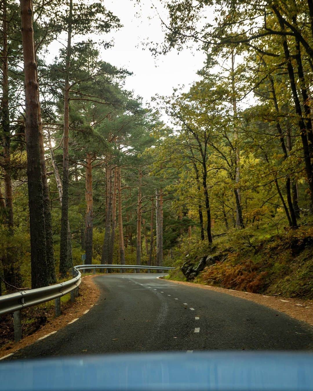 BMWさんのインスタグラム写真 - (BMWInstagram)「Gliding through these autumnal streets 🍂  📸: @bmw.bymycar.madrid @alvaroiglesiass #BMWRepost   The BMW M2. #THEM2 #BMWM #M2 #BMW #MPower __ BMW M2: Combined fuel consumption: 10.2–9.6 l/100 km. Combined CO2 emissions: 231–218 g/km. All data according to WLTP. Further info: www.bmw.com/disclaimer」11月25日 23時12分 - bmw