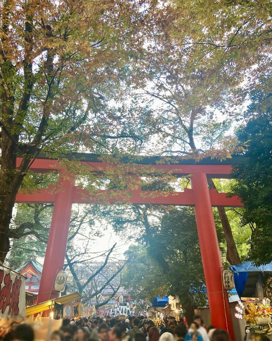 高橋佑奈さんのインスタグラム写真 - (高橋佑奈Instagram)「酉の市🐔⛩」11月25日 23時36分 - yuuuunadon