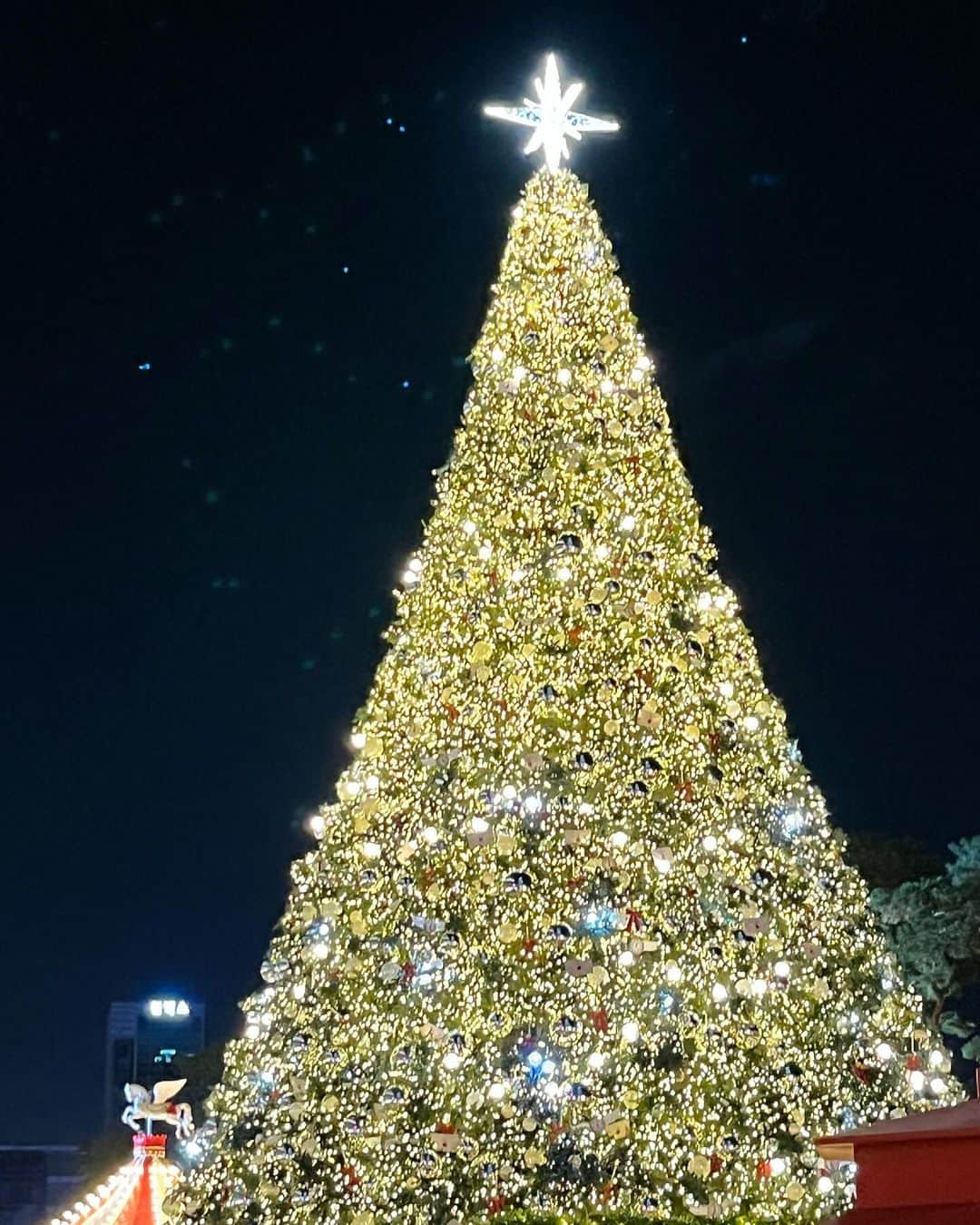 キム・ナヨンさんのインスタグラム写真 - (キム・ナヨンInstagram)「Christmas is coming🎄」11月26日 11時57分 - nayoungkeem