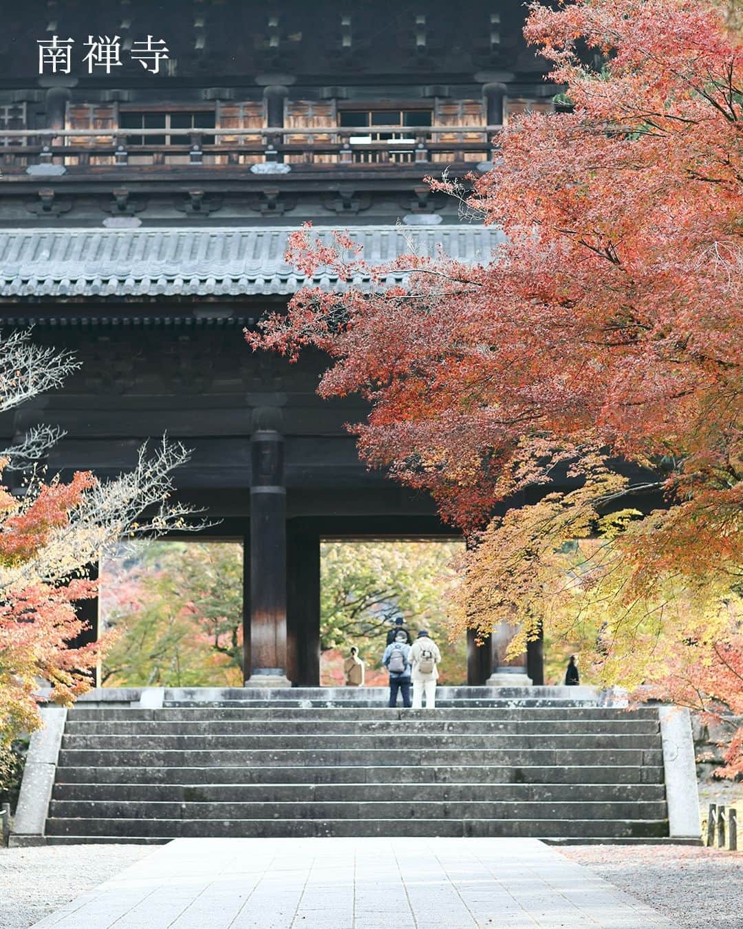 SOU・SOUのインスタグラム：「色鮮やかなカエデやモミジ、まさに「別格」の紅葉。京都東山の紅葉散歩♪ - - - - - - - - - - - - 秋も深まり、SOU・SOUのある京都も紅葉が各所で見頃を迎えています。 - そんな紅葉の名所がたくさんある京都から、東山エリアの南禅寺と永観堂を散歩してきました。この日も朝から向かったにもかかわらずたくさんの方が思い思いに紅葉を楽しんでいらっしゃいました。 - 南禅寺は京都市左京区にある禅寺です。京都五山(天竜寺・相国寺・建仁寺・東福寺・万寿寺)のさらに上に置かれる”別格扱い”の寺院。日本の全ての禅寺の中で最も高い格式を持つお寺です。 - 参道を歩き、南禅寺に足を踏み入れると、高さ22mを誇る大きな三門がまずはじめに目に飛び込んできます。こちらの三門は、重要文化財にも認定されています。 - お次の永観堂は浄土宗西山禅林寺派の総本山。本堂の阿弥陀如来像は、顔をななめ後ろに向けており「みかえり阿弥陀」と呼ばれています。東山の山肌に多宝塔があり、境内には放生（ほうじょう）池もあり、見事な借景を楽しめます。 - 楓におおわれた釈迦堂や開山堂などの諸堂は回廊で結ばれ、紅葉も至るところで見ることができます。真っ赤に色づいた場所や、まだ緑が初々しいところも、さまざまな自然の彩りを楽しむことができました。 - - - #sousou #sousoukyoto #shrine #kyoto #京都 #そうだ京都行こう #神社仏閣 #期間限定 #秋 #風物詩 #秋の風景 #京都旅 #京都のくらし #日々の暮らし #紅葉 #紅葉 #観光 #京都散歩 #京都観光 #南禅寺 #南禅寺 #紅葉狩り #南禅寺三門 #紅葉 #autumn #秋の京都 #京都散策 #京都紅葉 #京都観光 #秋を楽しもう」