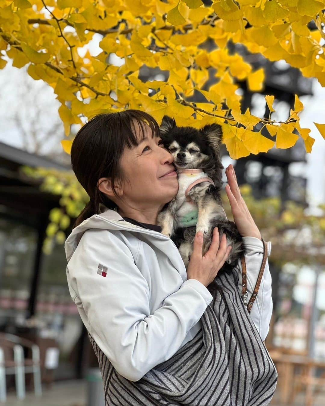 小野真弓のインスタグラム：「こんにちわん☺️  ハナちゃん絶好調につき、 お外でランチ🦝🍕🍨💛 ハナもハルも お出かけ大好きなので、出かけると更に元気になーる😆🐾  お友達に撮ってもらった、ハナと私📷✨ 素敵過ぎて、ふたりで泣く😂😂✨　  悟りのハナちゃん(*´-`) いつまでもみんなみんな、元気でいてほしいな🥺✨  今日は、すごーーく寒いので みんなお家で ぬくぬく充電しててください😆♨️🔌 🦝🐏🐯🐯🐈‍⬛🐻‍❄️🏠✨  おかーさんはお仕事🙋‍♀️ 頑張ってきまーす😆 良い日曜日をお過ごしください☺️🍀  #犬と猫のいる暮らし#犬猫日記 #高滝湖#市原湖畔美術館 #ピザランチ」