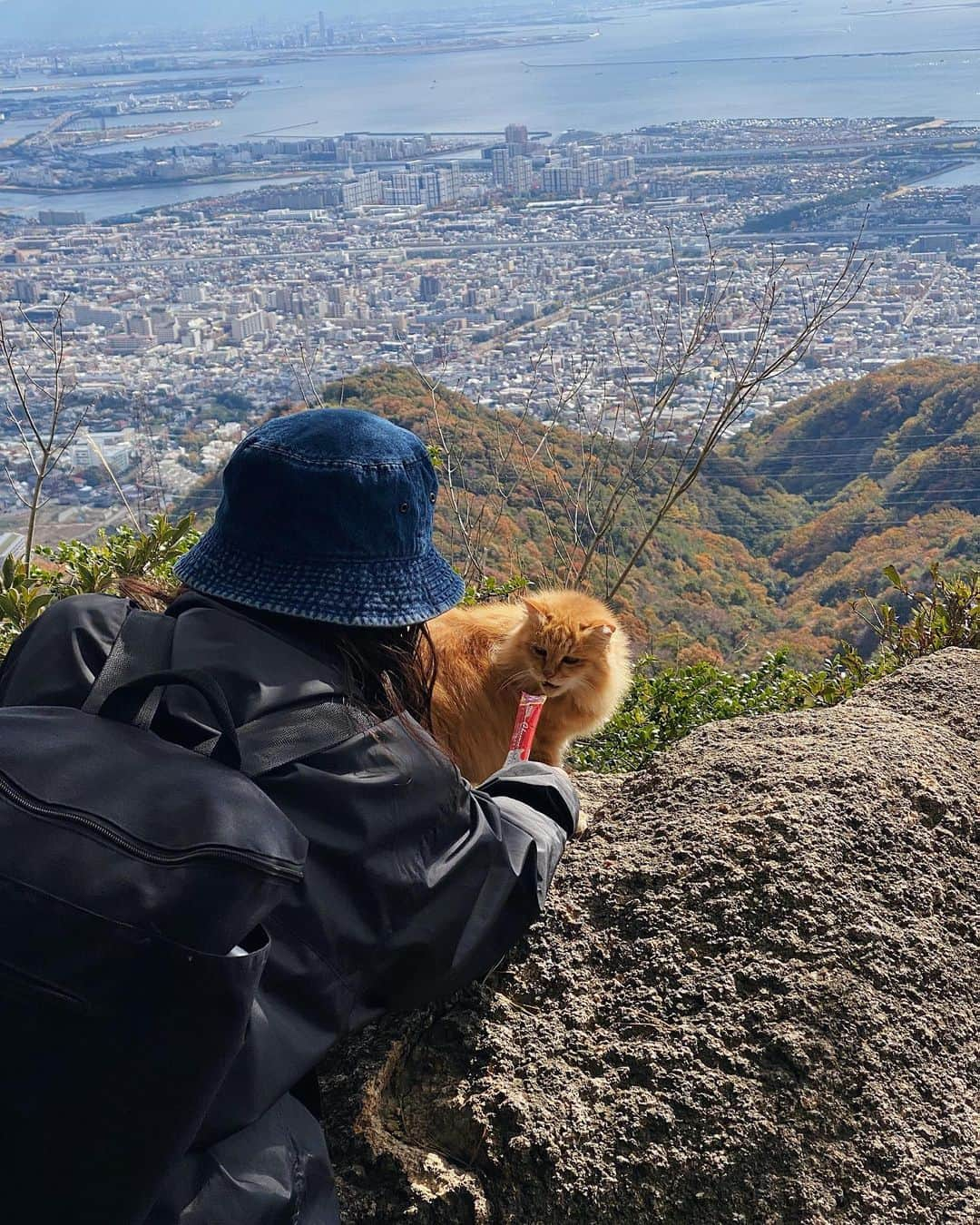 kaisakamotさんのインスタグラム写真 - (kaisakamotInstagram)「今月3回目の荒地山⛰️ #荒地山 #六甲山 #前ももぶち壊しコース #へっぽこインストラクター #hike」11月26日 11時04分 - kaisakamot