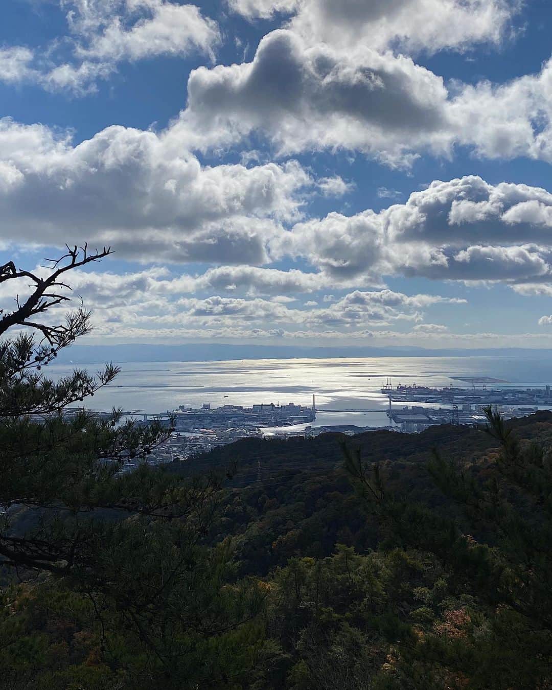 kaisakamotさんのインスタグラム写真 - (kaisakamotInstagram)「今月3回目の荒地山⛰️ #荒地山 #六甲山 #前ももぶち壊しコース #へっぽこインストラクター #hike」11月26日 11時04分 - kaisakamot