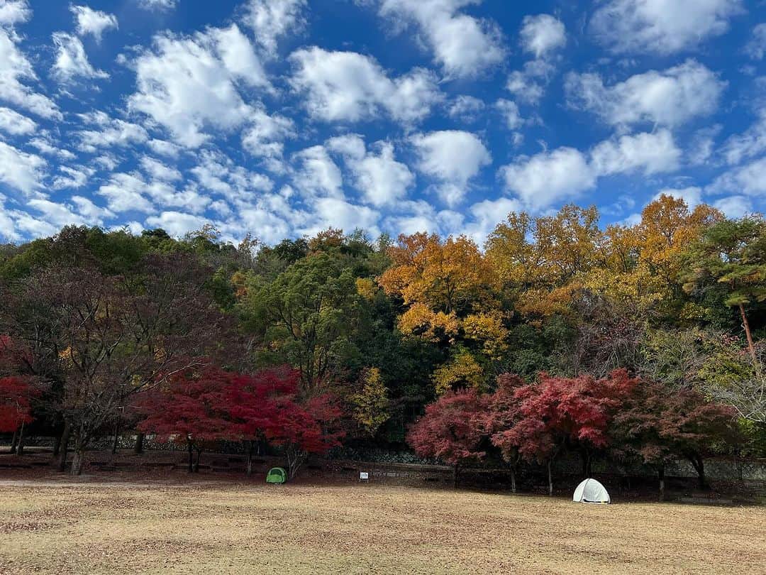 青木俊直さんのインスタグラム写真 - (青木俊直Instagram)「宝ヶ池あたりで紅葉も堪能」11月26日 11時32分 - aoki818