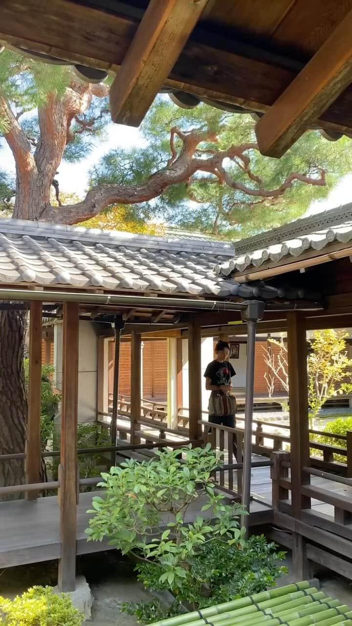 ベイカー恵利沙のインスタグラム：「Some beautiful moments from our Kyoto trip 🍂  #kyoto #kyotojapan #kyototrip」