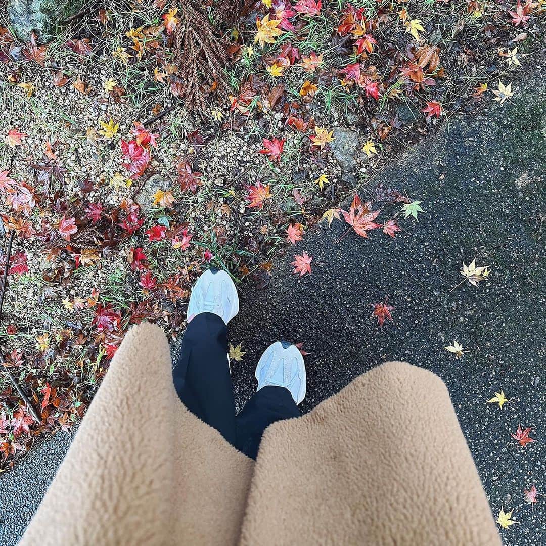 福井千佳のインスタグラム：「. . . #🍁 . . . 1歩、1歩。 慎重に、大胆に。どっちだよ。 見極めってやつですね。 バランスってやつですね。 . . . #紅葉狩り#足元倶楽部」