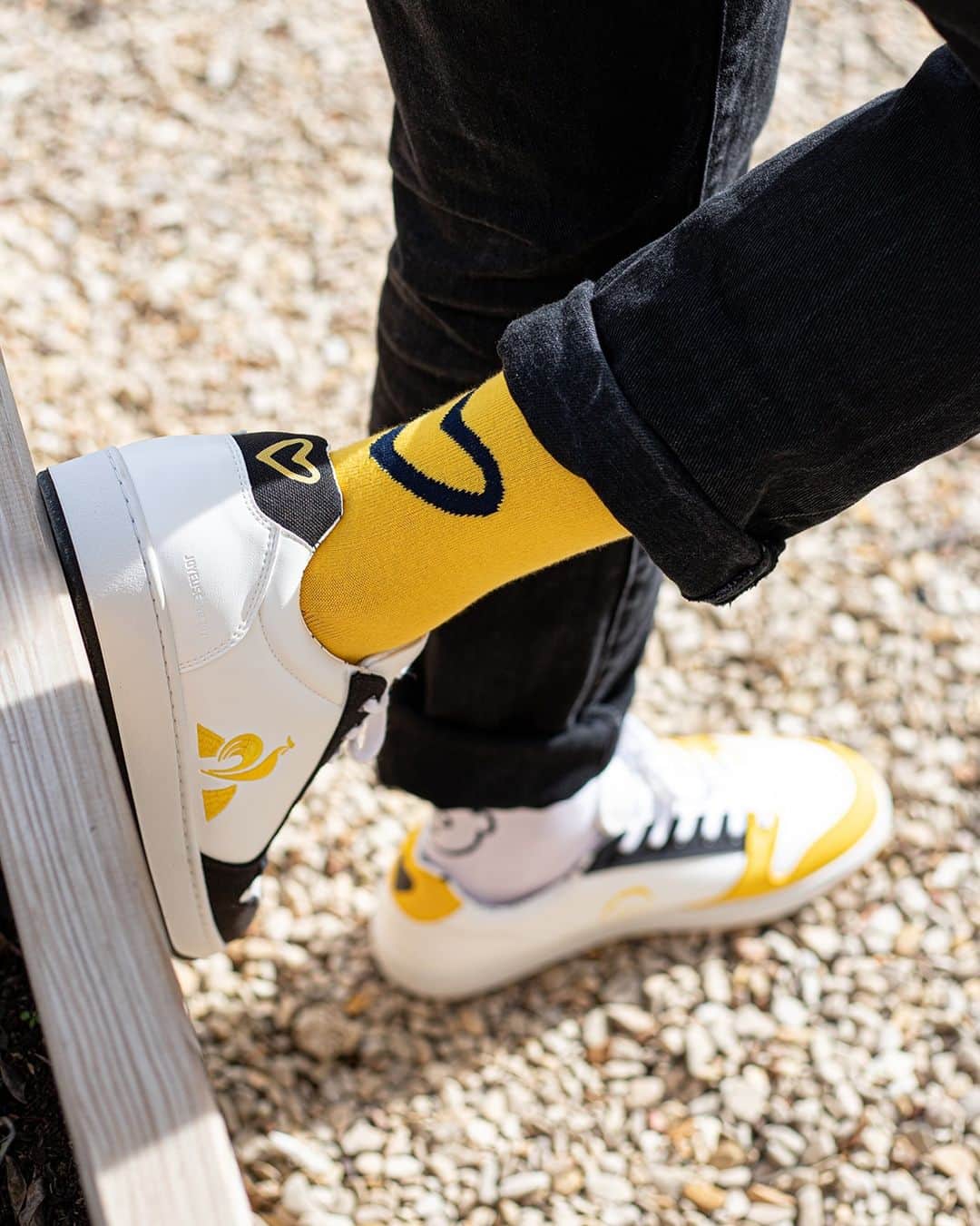 ルコックスポルティフのインスタグラム：「Le Coq Sportif et @cafejoyeux : de retour 🤝​  On retrouve la Terra de la collection 2021, accompagnée d’un t-shirt, d’un hoodie à capuche, de 2 packs de chaussettes aux même coloris, clin d’oeil à l’enseigne. 👟👕🧦​  Produits disponibles sur notre e-shop et dans nos boutiques.​  https://www.lecoqsportif.com/collections/cafe-joyeux.html ​  #caféjoyeux #LeCoqSportif #lifestyle」