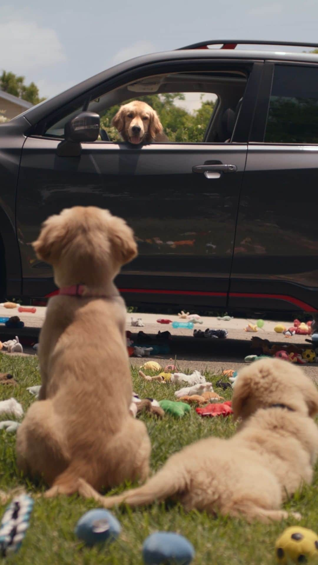 Subaru of Americaのインスタグラム：「#SubiePups might be a little bit extra. 😉 🐾   Click the link in bio for more of #TheBarkleys~   #SubaruForester #DogTestedDogApproved」