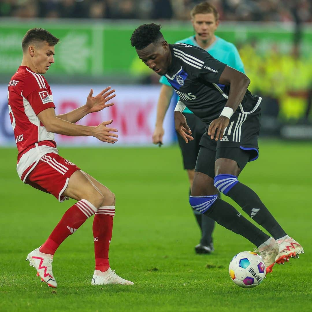 シャルケ04さんのインスタグラム写真 - (シャルケ04Instagram)「Halbzeit in Düsseldorf. . #F95S04 3:0 . . #Schalke #S04 #Matchday #Football #Soccer #Fußball #Futbol #Knappen #EinLebenLang #🔵⚪️」11月26日 5時26分 - s04