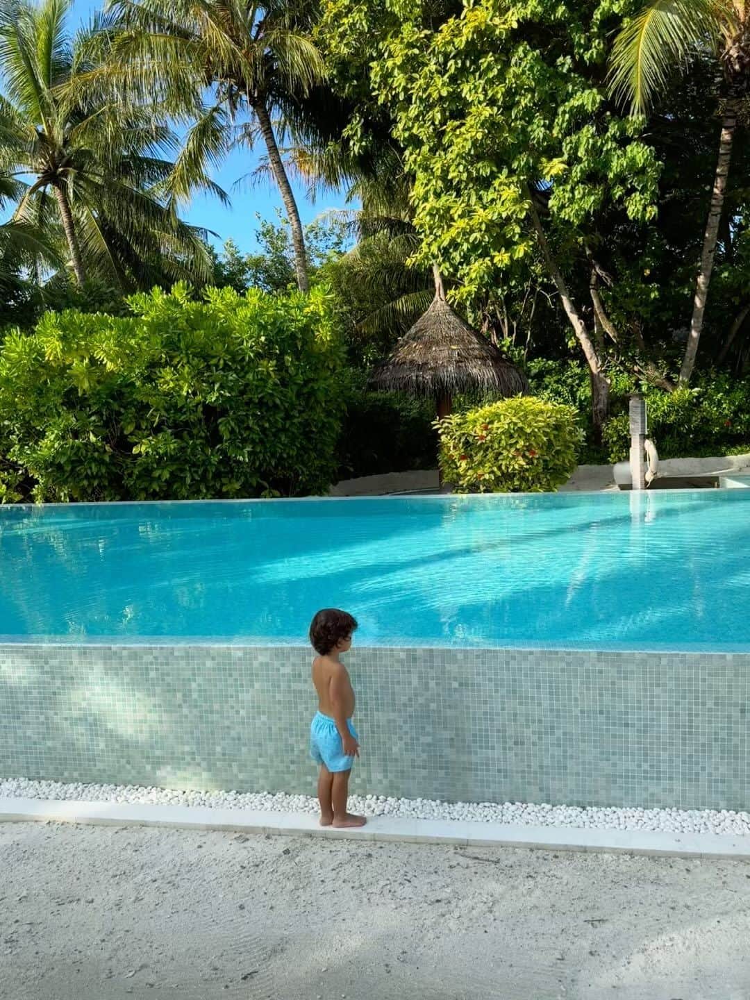 フェルナンド・ベルダスコのインスタグラム：「Paradise 🌴☀️🐬🩳🐚🦀」