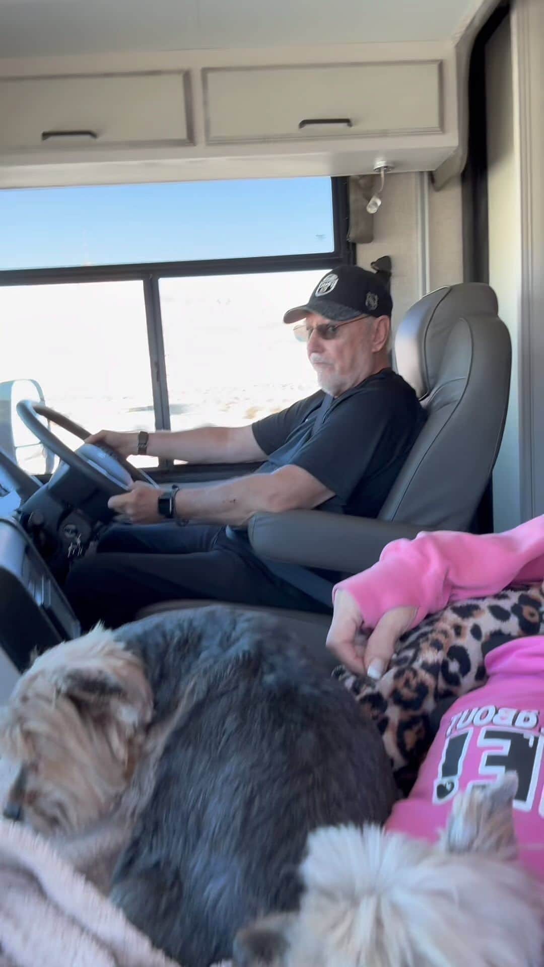 のインスタグラム：「Sammy, Allie, Max & Misty (hiding🫣) 💭 We hope all our friends had a very nice Thanksgiving like we did! It’s time to head home now! 🚌🚙💨💨💨👋🏼♥️🫶🏼🥰 #MotorHoming #VacationWithDogs #BetterTogether❤️ #TravelWithDogs #TravelingDogs #LasVegasBound #Homebound #TravelingPups #AdventureWithDogs  #OnTheRoadAgain」