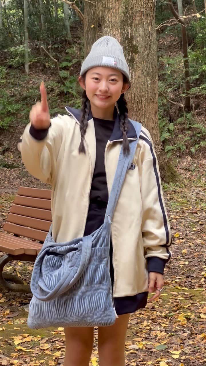Ayamiのインスタグラム：「1、2、3...   #イチョウ  #イチョウの木」