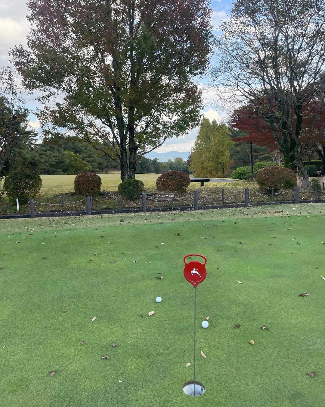 生島早織のインスタグラム：「長かった夏から一気に冬が来た〜⛳️  久々に工作しています✂️🖊️🔪📦  後はシャフトだ💪  さて、これを何に使うのかわかる人いるかなぁ〜🤣  #ママゴルファー #ママはプロゴルファー #ゴルフのお仕事 #女子プロゴルファー #ラウンドレッスン #工作 #問題です」