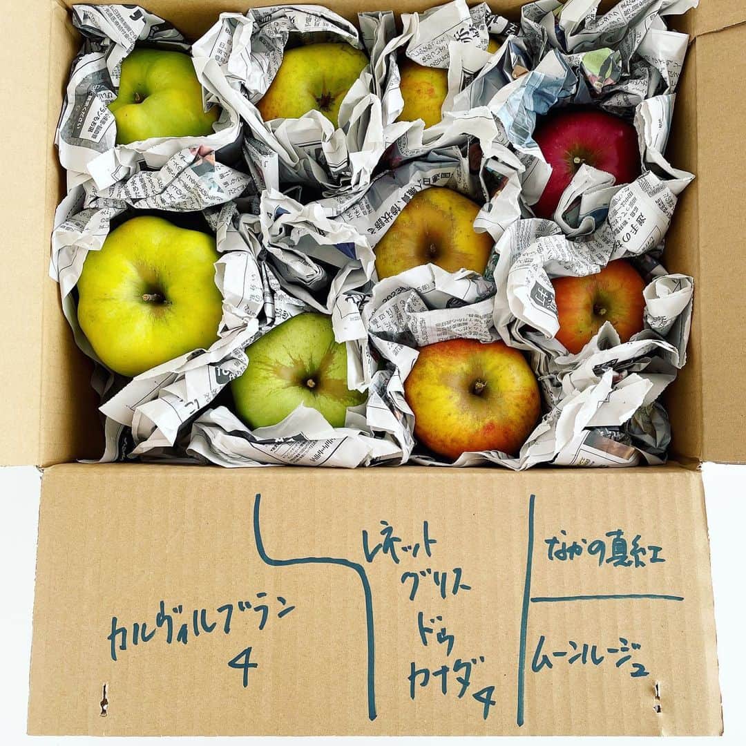 福田里香のインスタグラム：「素晴らしい🍏🍎の📦箱 「林檎園 うえはら」 さんから 希少品種詰め合わせが届きました。@ringoen_uehara   🍏クッキングアップル系は カルヴィルブラン （タルトタタンにぴったりの品種） レネットグリスドゥカナダ  🍎ピンクの果肉で生食用りんごは なかの真紅 ムーンルージュ  インスタのアイコンに なぜか、りんごだけが 🍏と🍎の２種類あるのが 不思議だったけど 調理用りんごと生食用りんごの区別が 日本人が考える以上に別物として 認識されてきた歴史があるんだろうな とか りんごは緑色が主流で 赤いとピンとこない国や地域も 思いの外多いのだと思ったりした。  林檎園うえはらさん曰く ［ 今現在、約40種類のりんごを育てています。半分以上は趣味の領域ですが、興味を持った品種は育ててみたいと思ってしまう性分です ］ だそうです。  めちゃくちゃおいしい🍏🍎」