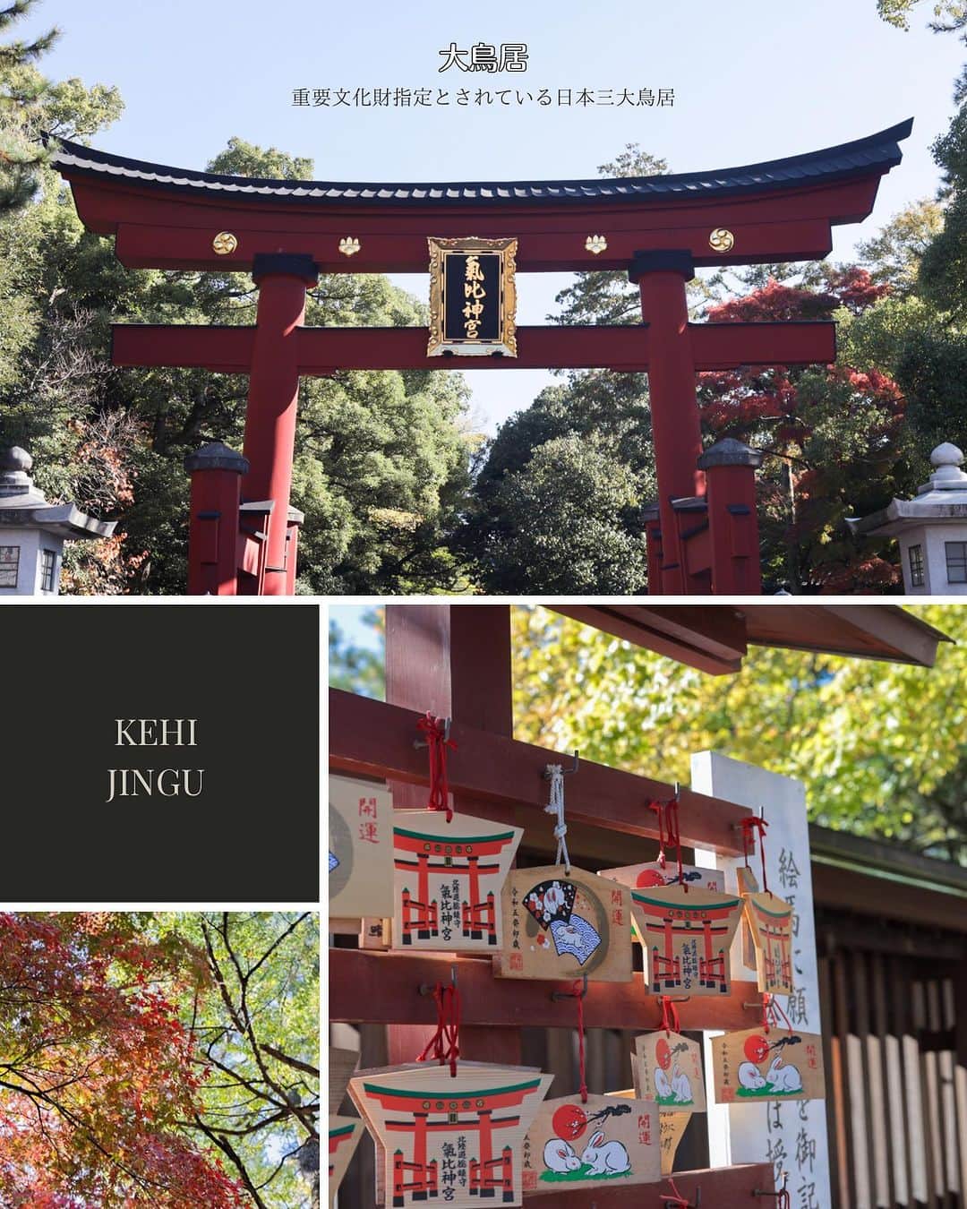 mimisomiさんのインスタグラム写真 - (mimisomiInstagram)「pr 【東京女子部】福井旅 「けいさん」の愛称で親しまれる氣比神宮(けひじんぐう)。高さ約11mの大鳥居（重要文化財）は、日本三大木造大鳥居の一つなのだそう。 松尾芭蕉が訪れたため、境内には松尾芭蕉の像と句碑があり、日本百名月にも認定されています。  📍 気比神宮 ／ 敦賀市曙町11-68 敦賀駅から徒歩15分ほど 拝観無料  ☟☟☟  【敦賀カフェ】  気比神宮から徒歩2分ほどの場所にある #中道源蔵茶舗  元々は運送業から始まったお茶屋なのだそうで、とても歴史のあるお店で、抹茶やほうじ茶などを始めとするスイーツもいただけます。  #北陸観光 #福井女子旅 #地味にすごい福井 #福井女子部 #東京女子部 #福井旅 #福井観光 #福井旅行 #fukuijapan #fukuitravel #敦賀 #敦賀カフェ #敦賀旅行  sp thanks! @emiemiemi905」11月26日 9時35分 - mimisomi33