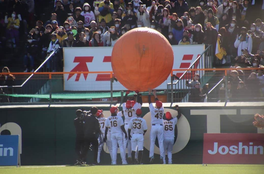 大竹耕太郎さんのインスタグラム写真 - (大竹耕太郎Instagram)「ファン感謝デー🐯 ありがとうございました。 #ファン感謝デー  #大玉ころがし  #浜風に翻弄される #1安打 #原因不明の優秀選手賞 #選出ありがとうございます #Joshin #買い物いかなきゃ」11月26日 10時04分 - ohtake_49