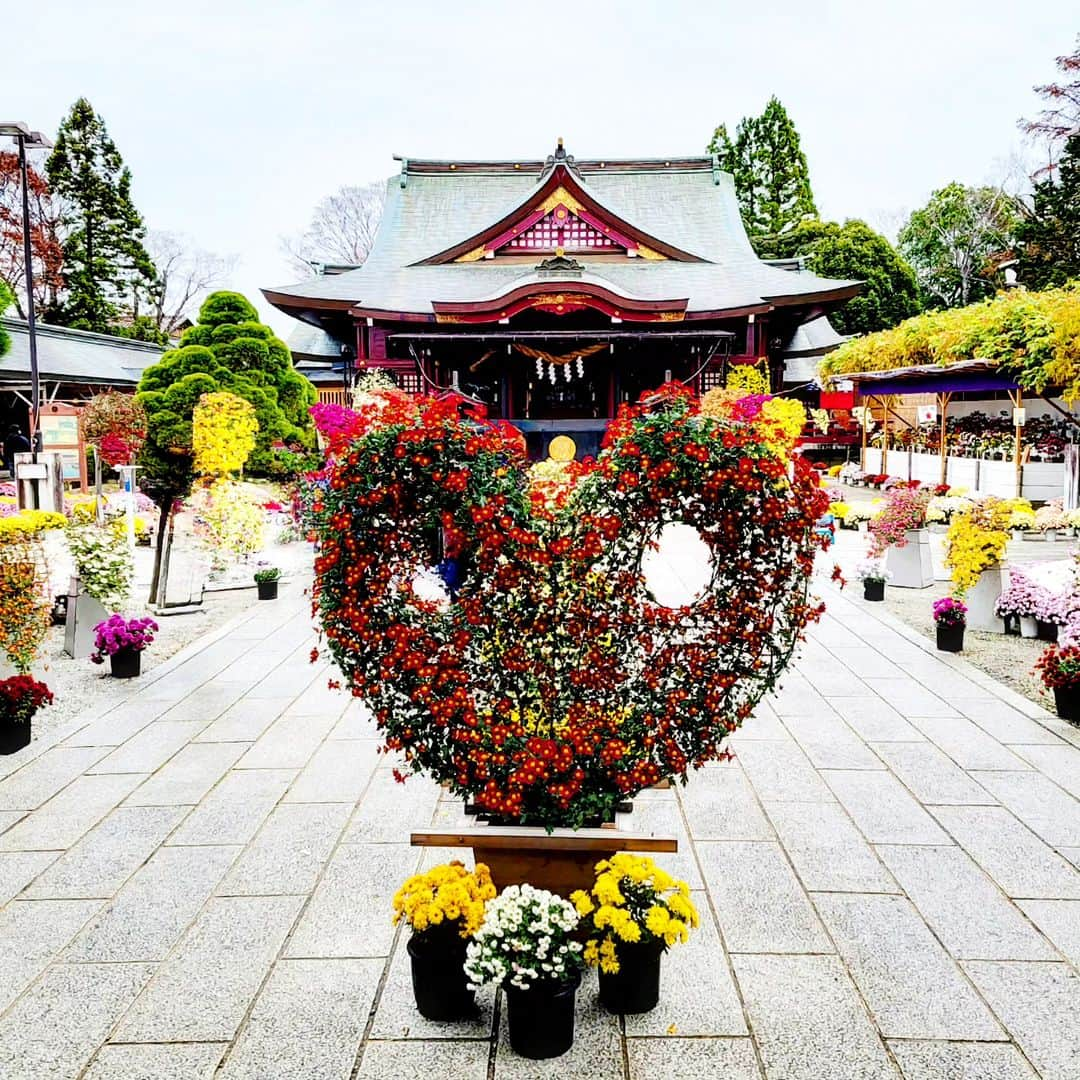 LOVE ME DOさんのインスタグラム写真 - (LOVE ME DOInstagram)「#笠間稲荷神社 に行きました！ #笠間菊まつり  #茨城県笠間市」11月26日 10時05分 - lovemedo_fortunteller