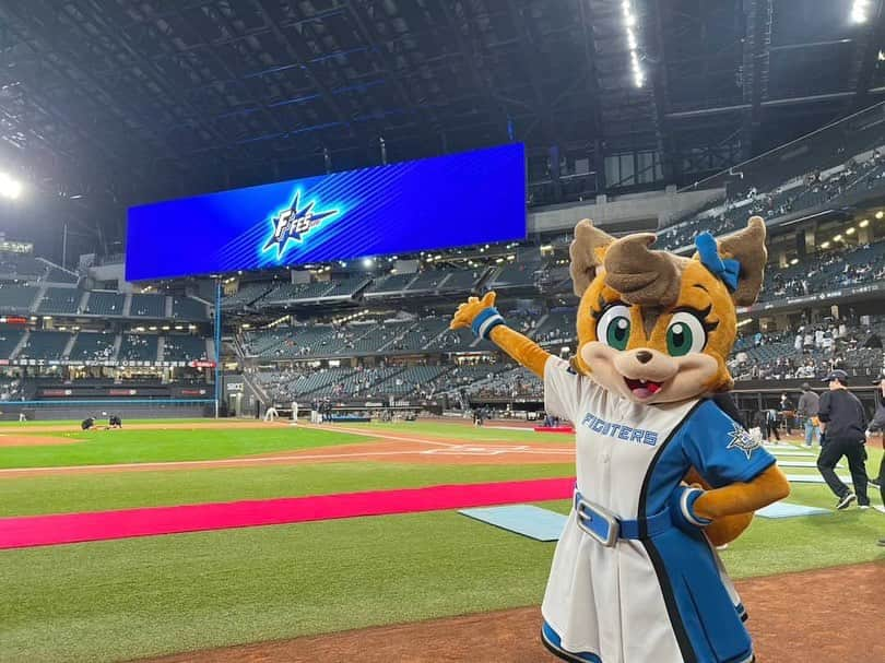 北海道日本ハムファイターズ フレップのインスタグラム：「．  【F FES2023の思い出】  ポリーです🐿️💌  みんな、F FES来てくれてありがとう😊  みんなと沢山お写真撮ったりお話しできてとっても嬉しかったよ💓  グラウンドに出た時に『ポリー！！』って名前呼んでくれてるのきちんと聞こえてるよ👂💕 すごく嬉しいんだ😆✨  そして、久しぶりにカビーに会えてとっても嬉しかったの！！ 沢山遊んでとっても楽しかったな🥺🩷 来年は沢山会えますように💭  ひさしぶりの4人集まってのマスコットステージでは、 『Fが一番似合うのは誰だ!Fポーズ選手権!』 っていう、くじを引いてお題にあったFポーズをとるっていうゲームをやったんだけど、意外と難しかったな…😖 勝者はカビー✨🐻🍙 来年は負けないんだからっ🥺  ゲームの後には、 会場にいるみんなでダンスを踊ることができてとっても幸せだった✨☺️  来シーズンまでみんなに会える機会が少し減ってしまうのは寂しいけど、 もっとみんなの笑顔が見られるように、そして楽しんでもらえるようなこと考えていきたいな💭💕  みんなにまた会えるの楽しみにしてるね🥰  #北海道日本ハムファイターズ　 #lovefighters  #新時代　#FANSAREOURTREASURE  #fanssquarestage #ffes #フレップ #ポリーポラリス #bb212 #カビー」