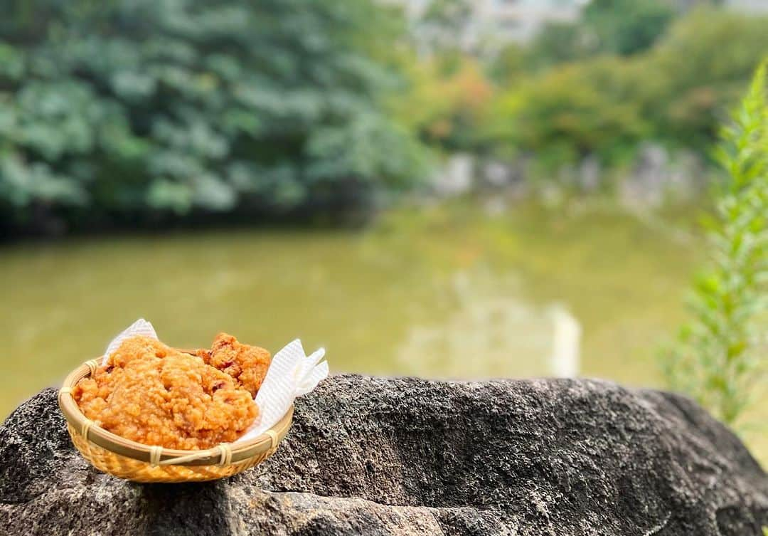 馬場園梓さんのインスタグラム写真 - (馬場園梓Instagram)「へい♪  お世話になります！  お礼が遅くなり 大変申し訳ございません🙏  東京 大阪で開催しました  第二回単独ライブ  『一人井戸端会議』  おかげさまで 楽しく終えることができました！  貴重なお時間を割いてお越しくださいました皆様 誠にありがとうございました！！  また定期的にやっていきますので 今後とも 何卒 よろしくお願いいたします🙇‍♀️✨  今回のライブで言いたかったことは  唐揚げは 美味しいを通り越して 美しい✨　  ルン♪  #yeah #happy #exciting #単独ライブ #一人井戸端会議 #東京 #大阪 #唐揚げ #イヤリング #美味しい #美しい #しあわせ #ルン♪」11月26日 21時19分 - babazonoazusa