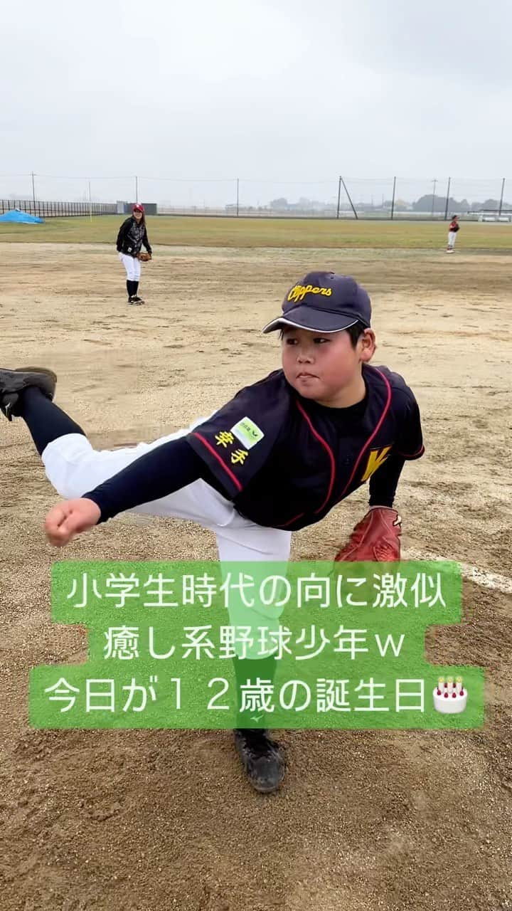 野球YouTuber向のインスタグラム：「・  今日が１２歳の誕生日 埼玉の豪腕野球少年www  #野球 #야구 #棒球 #baseball #野球部 #少年野球 #硬式野球 #中学野球 #高校野球 #プロ野球 #baseball #baseballlife #fyp #ムコウズ #YouTube #YouTuber #いいね #おすすめ #オススメ #howto #tutorial #fyp #tiktok #Instagram #video #viral #ホームラン #打撃 #バッティング #守備 #ノック #投球」