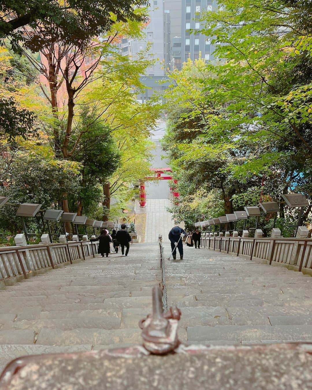 堀田ゆい夏さんのインスタグラム写真 - (堀田ゆい夏Instagram)「何年ぶりだろう、やっぱり愛宕神社の階段はとんでもなく急斜面😂  登るときも降りるときも自然と集中。  #目的はカレー😋 #ナンディニのカレーが大好きだ🇮🇳 #愛宕神社#ナンディニ」11月26日 19時50分 - yuika_a0902