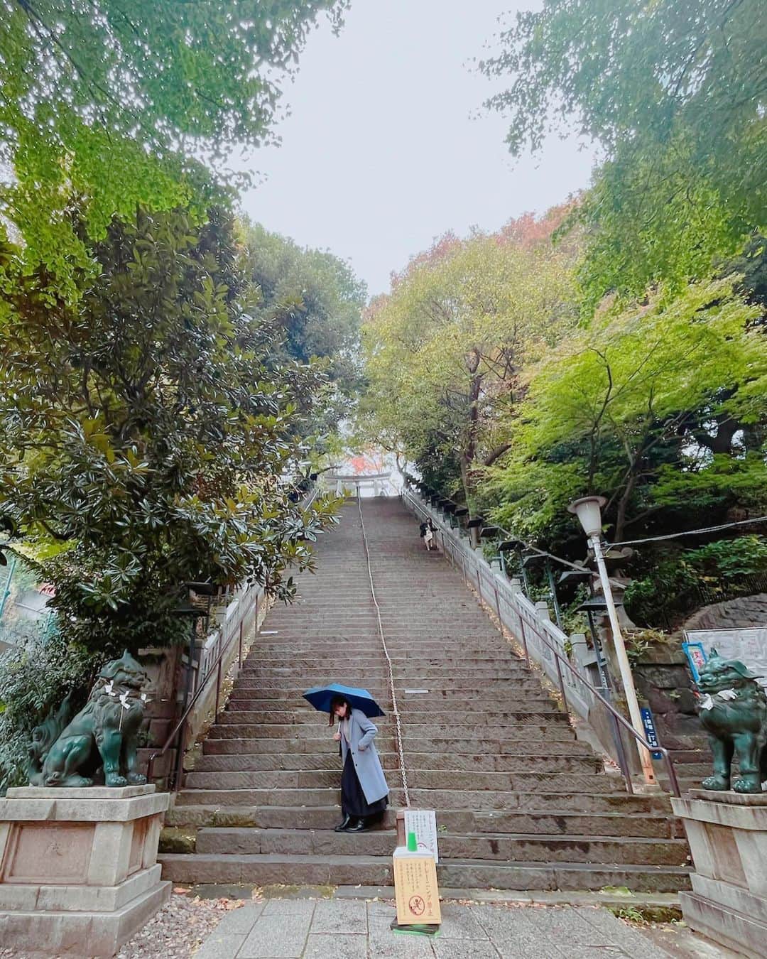 堀田ゆい夏のインスタグラム：「何年ぶりだろう、やっぱり愛宕神社の階段はとんでもなく急斜面😂  登るときも降りるときも自然と集中。  #目的はカレー😋 #ナンディニのカレーが大好きだ🇮🇳 #愛宕神社#ナンディニ」