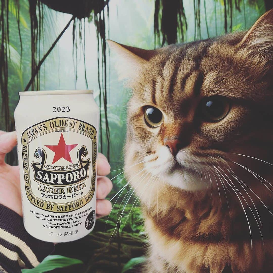 藤田琢己さんのインスタグラム写真 - (藤田琢己Instagram)「ビールと猫  #beer #cat #AI」11月26日 20時00分 - takumifujita1