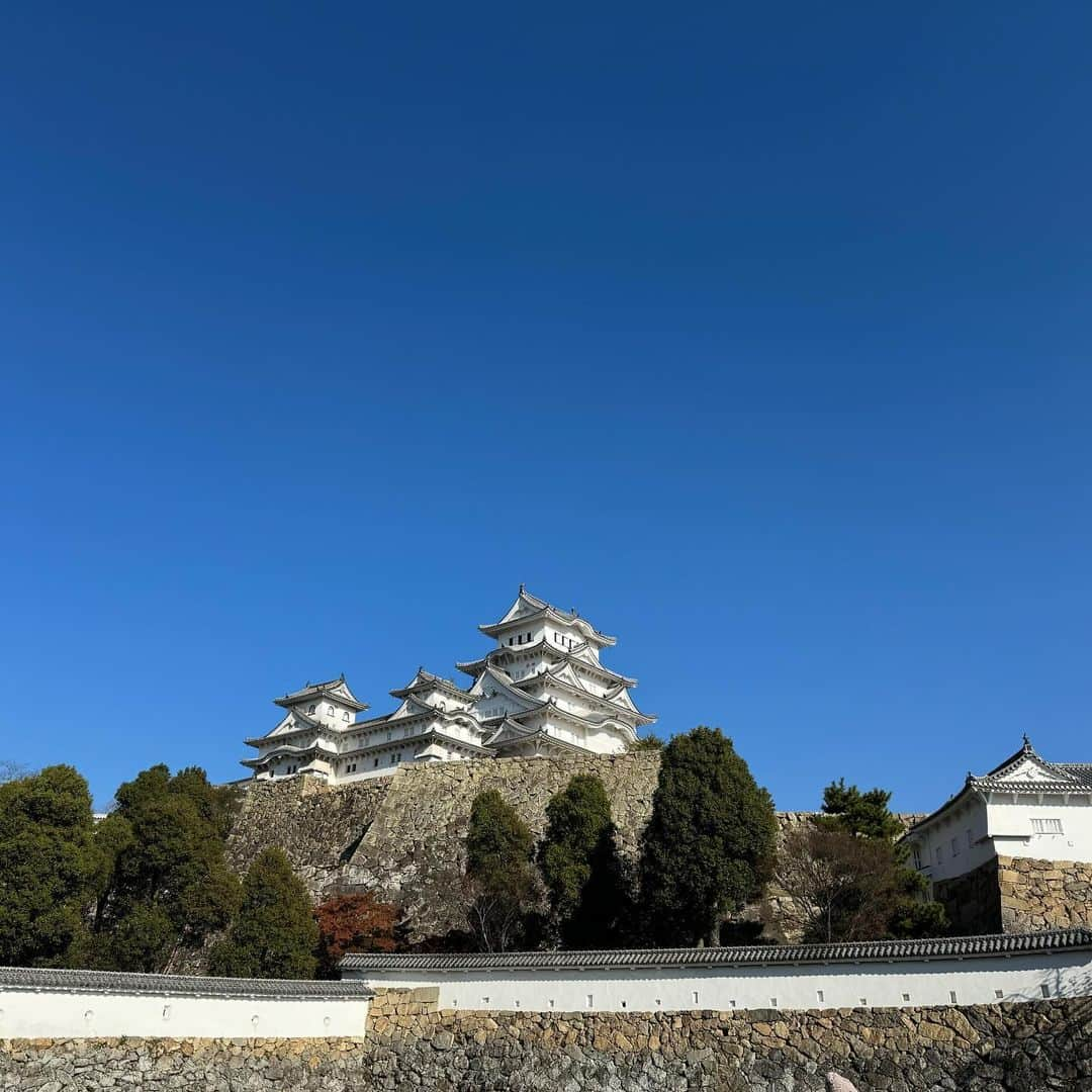 島谷ひとみさんのインスタグラム写真 - (島谷ひとみInstagram)「本日は、  姫路大学の学園祭でした。  リハーサルが早朝だった為、かなり本番まで時間があったのでチーム島谷スタッフと姫路城（白鷺城）へ🏯✨  今の季節は、天気がいいと空も澄んでいて白い城壁が映えますし、紅葉も綺麗で、何より歩くし階段を上り下りするので汗もかかずベストなタイミングでした🍁  浮かれポンチはポンチョ着て写真撮りまくりw  朝ごはんは、カフェドムッシュさんへモーニングセットをいただきに☕️🍞  コーヒー一杯500円で頼むと、アーモンドバターパンとサラダとオムレツが付いてきます。  安〜い❣️ 美味しい〜❣️  他にもあと50回くらい通わなければいけないほどの魅力的なメニューだらけ‼️  スーパーにも行ってみたりして。。。  本番も天気に恵まれ素敵なサンセットのサインと共に温かな空気の中ステージにてパフォーマンスさせて頂き感謝感謝です❤️  みなさん超温かく嬉しかったです☺️  またお会いできますように。。。❤️  昨日の夜は、相模原フェスタにてとても素敵な思い出となる時間を地域の皆様とファンの皆様と過ごし、バタバタとブーブー言いながら終電に飛び乗り0時過ぎに姫路へ入りヘロヘロだった島谷さんがウソのような充実した今日w  みなさんとの出会いと時間によって、心満たされ新幹線に乗っております🚄  少しずつ、今年が終わりゆくような気配を感じるようになりましたが、島谷は年内まだまだ皆様にお会いできる機会を楽しみにしております♡  充実した1日をありがとうございましたとさ☺️  #姫路大学学園祭 #姫路城 #島谷ひとみと愉快な仲間たちw #島谷製作所 #島谷ひとみ」11月26日 20時02分 - shimatani_hitomi_official