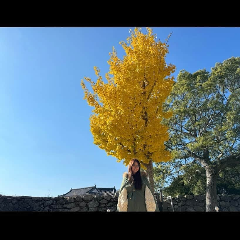 島谷ひとみさんのインスタグラム写真 - (島谷ひとみInstagram)「本日は、  姫路大学の学園祭でした。  リハーサルが早朝だった為、かなり本番まで時間があったのでチーム島谷スタッフと姫路城（白鷺城）へ🏯✨  今の季節は、天気がいいと空も澄んでいて白い城壁が映えますし、紅葉も綺麗で、何より歩くし階段を上り下りするので汗もかかずベストなタイミングでした🍁  浮かれポンチはポンチョ着て写真撮りまくりw  朝ごはんは、カフェドムッシュさんへモーニングセットをいただきに☕️🍞  コーヒー一杯500円で頼むと、アーモンドバターパンとサラダとオムレツが付いてきます。  安〜い❣️ 美味しい〜❣️  他にもあと50回くらい通わなければいけないほどの魅力的なメニューだらけ‼️  スーパーにも行ってみたりして。。。  本番も天気に恵まれ素敵なサンセットのサインと共に温かな空気の中ステージにてパフォーマンスさせて頂き感謝感謝です❤️  みなさん超温かく嬉しかったです☺️  またお会いできますように。。。❤️  昨日の夜は、相模原フェスタにてとても素敵な思い出となる時間を地域の皆様とファンの皆様と過ごし、バタバタとブーブー言いながら終電に飛び乗り0時過ぎに姫路へ入りヘロヘロだった島谷さんがウソのような充実した今日w  みなさんとの出会いと時間によって、心満たされ新幹線に乗っております🚄  少しずつ、今年が終わりゆくような気配を感じるようになりましたが、島谷は年内まだまだ皆様にお会いできる機会を楽しみにしております♡  充実した1日をありがとうございましたとさ☺️  #姫路大学学園祭 #姫路城 #島谷ひとみと愉快な仲間たちw #島谷製作所 #島谷ひとみ」11月26日 20時02分 - shimatani_hitomi_official