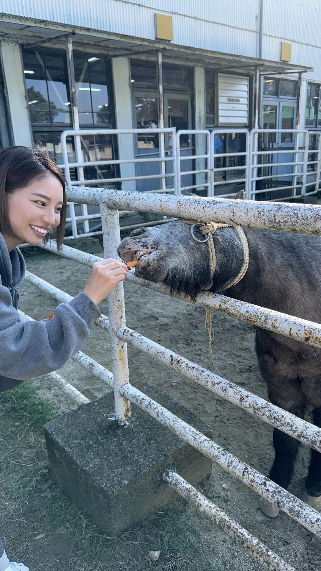 久松かおりのインスタグラム：「. ポニーにエサやり🥕 ニコニコしてるけどびびってるのバレてる笑 最後素すぎ笑なにに引いてるん？😂 . . . #淡路島牧場 #ポニー #えさやり体験 #followme」